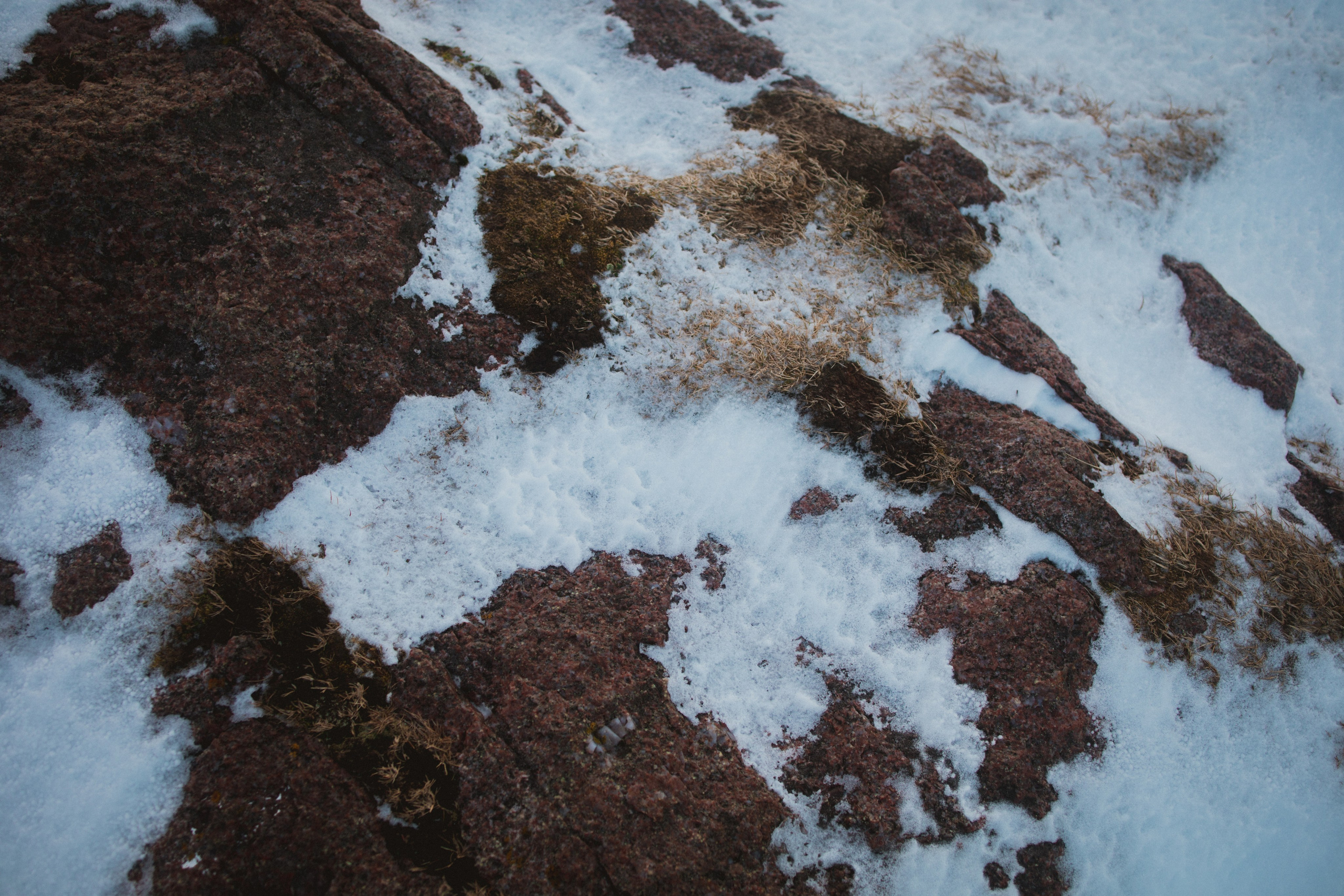 Териберка. Анна Мильч