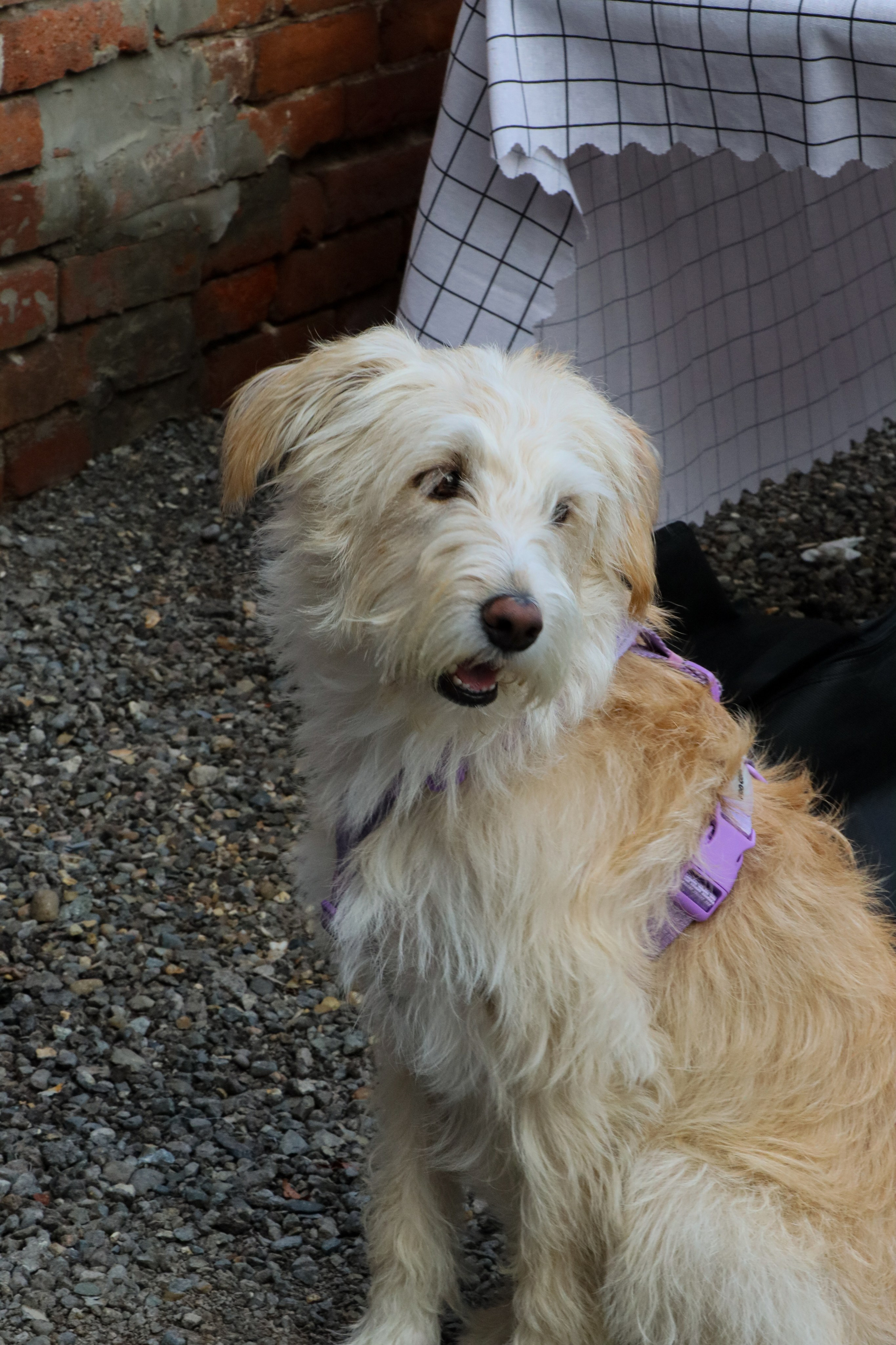 Татарский фестиваль. Портретный и репортажный фотограф в Анапе Злата Хидзик