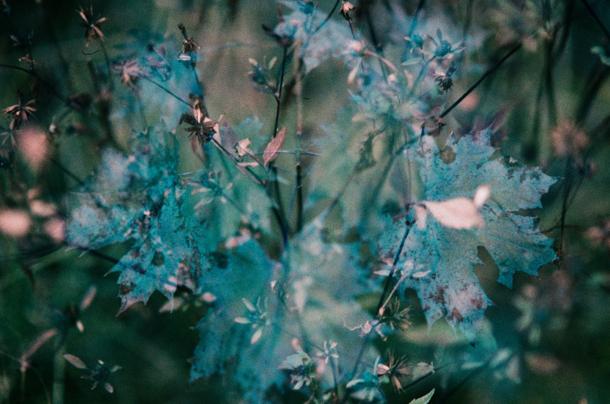 Post blue. EVER EXPOSED