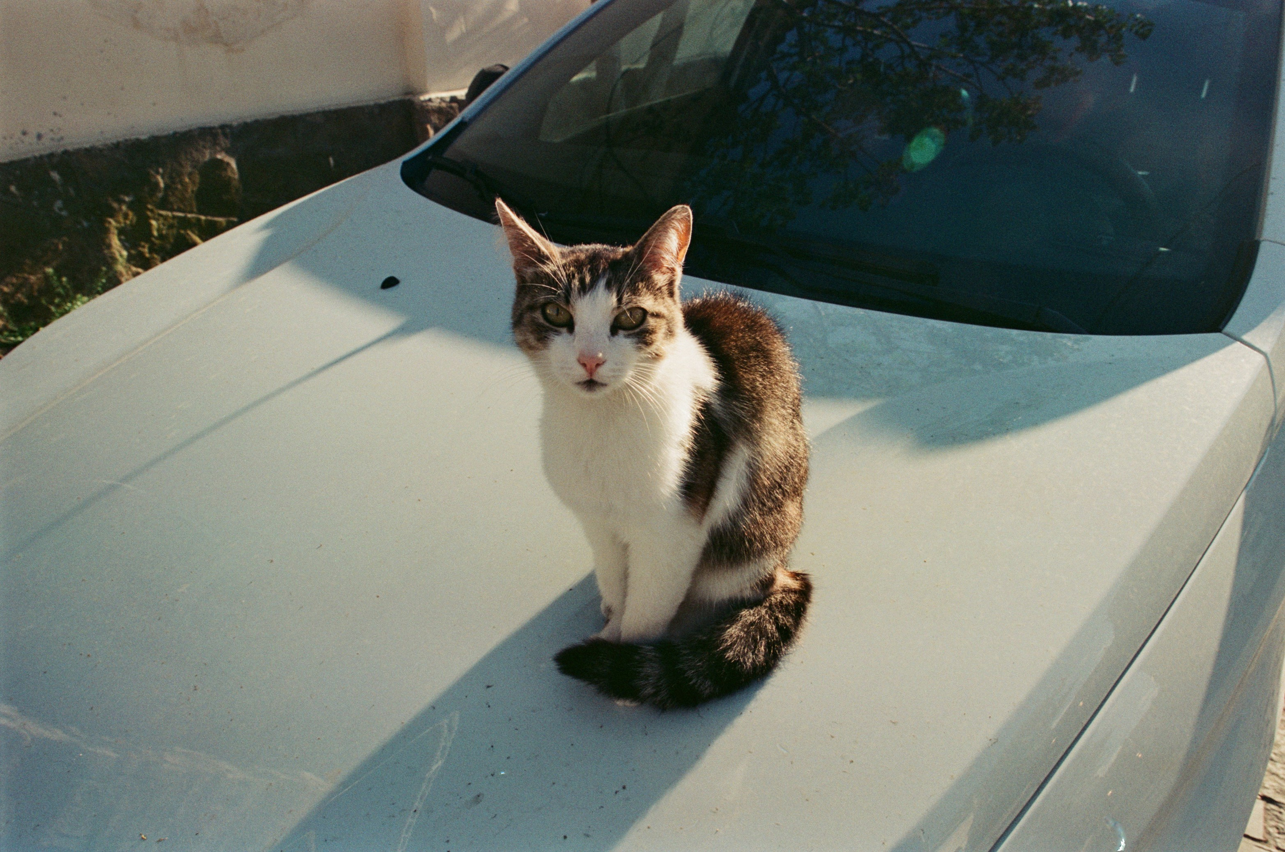 Press enter to exit // ukraine, crimea VI. EVER EXPOSED