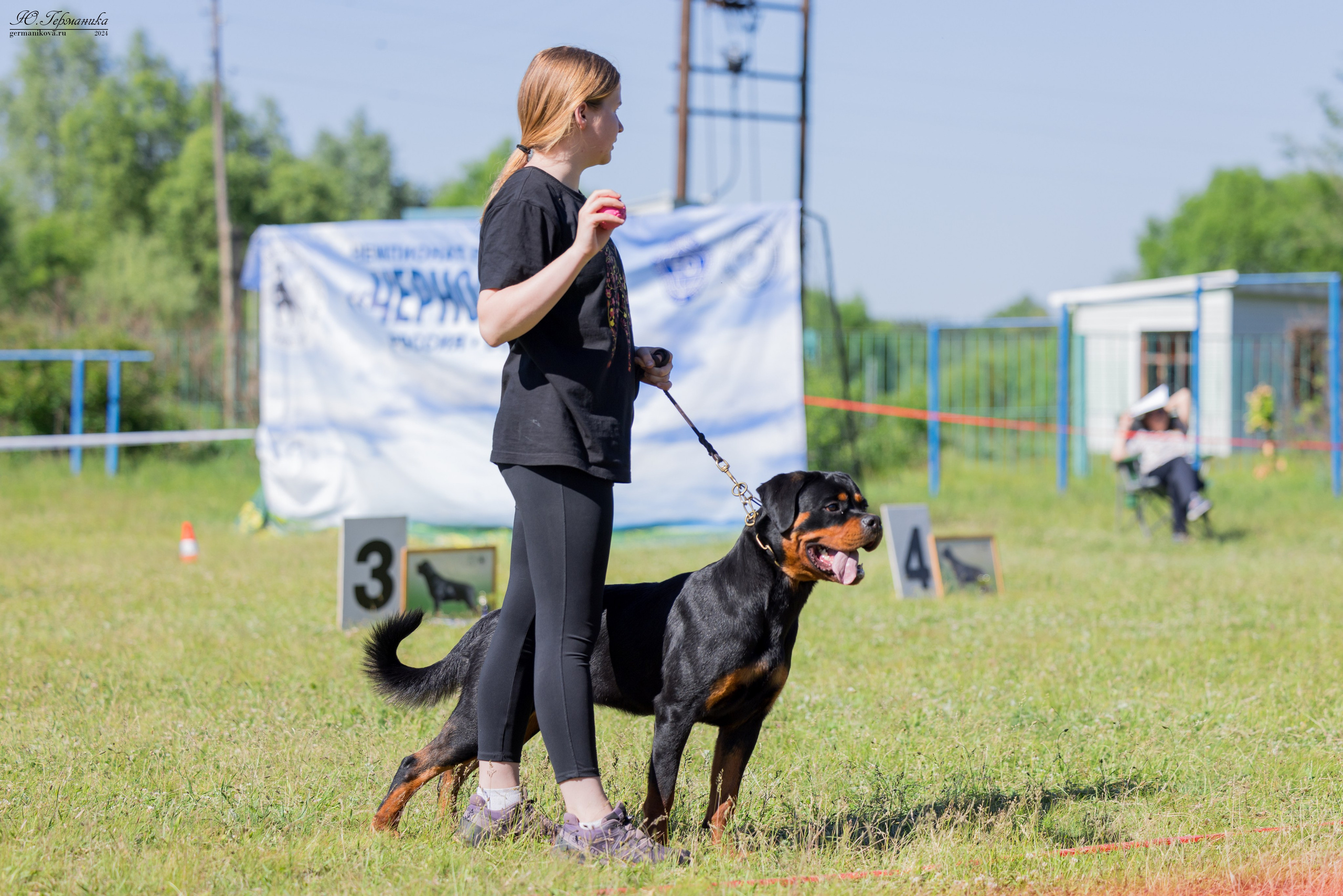 Воронеж моно ротвейлеров 25-26.05.2024. Фотограф-анималист Юлия Германика