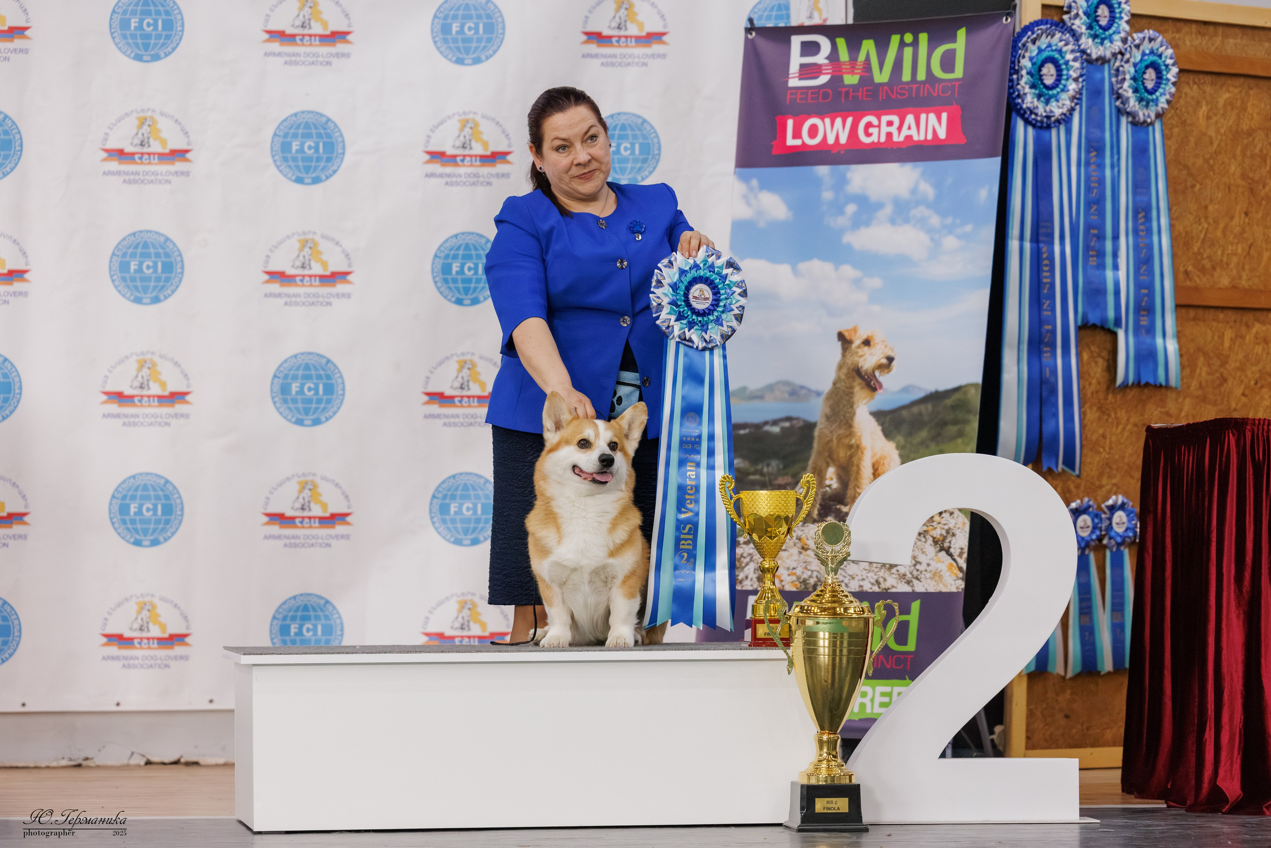 Ереван 2х CACIB 29-30.04.2025. Фотограф-анималист Юлия Германика