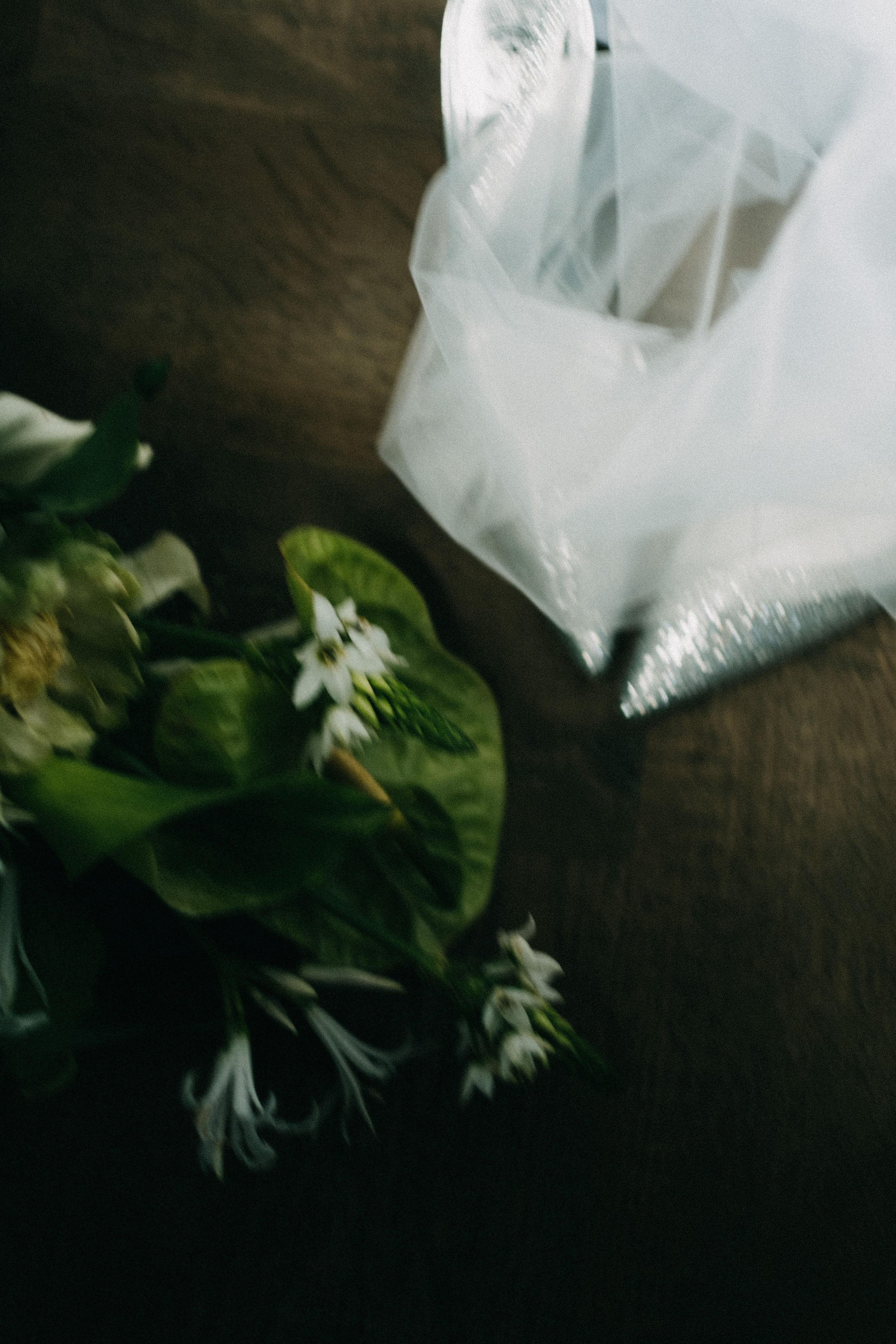 Главная. Свадебный фотограф Александра Тюлякова