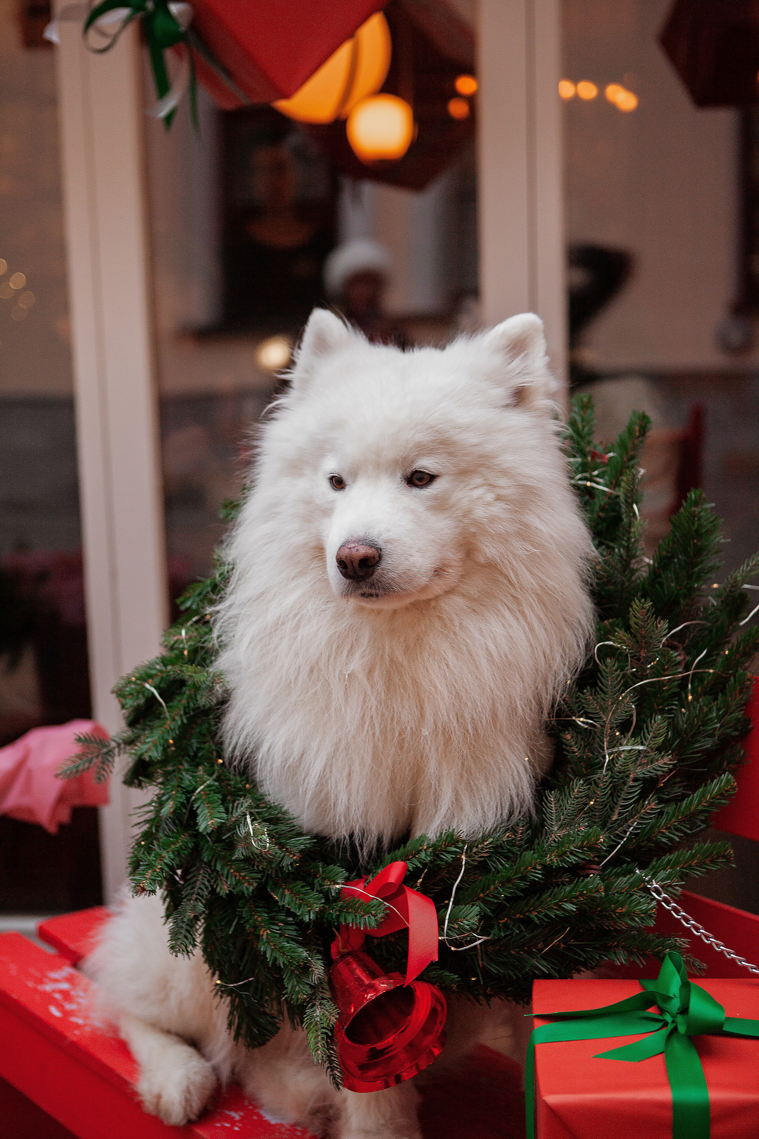 Анна. Свадебный фотограф в СПБ | Санкт-Петербурге Анастасия Рахимгулова
