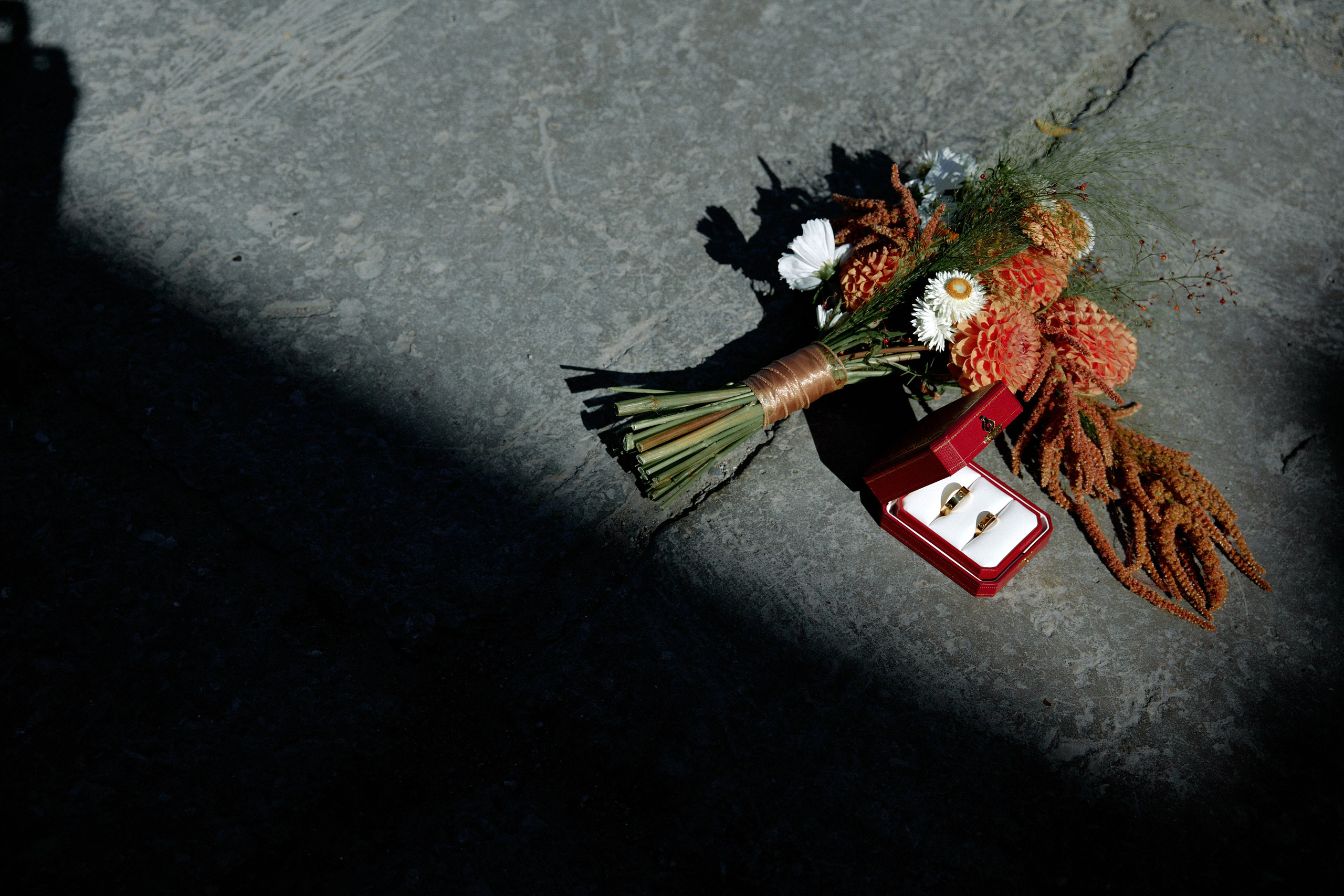 ПЕ-ПЕ-ПЕ. Фотограф Елена Краснопевцева