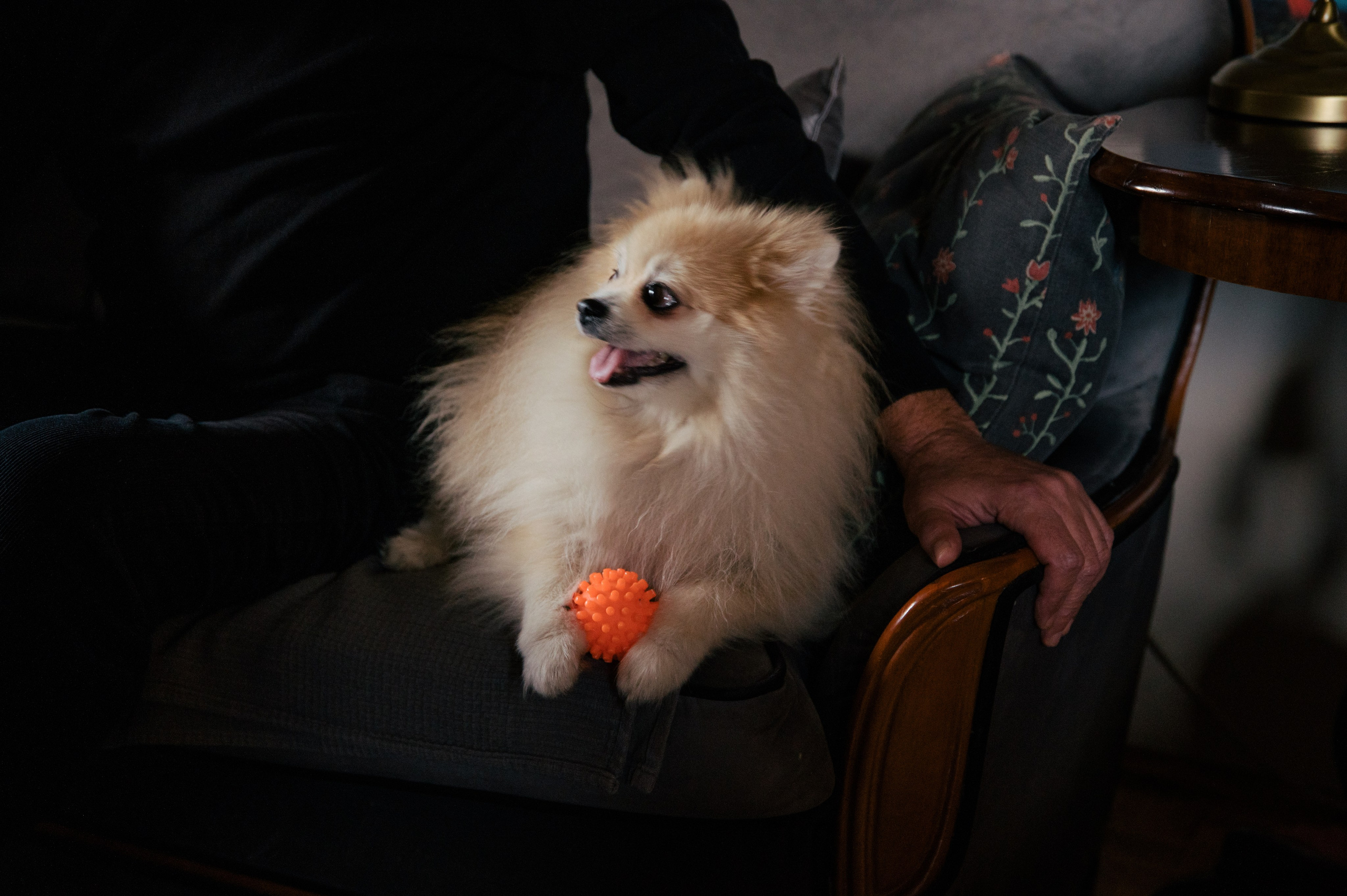 Nina&Nikola. Art-photographer Ira Wind