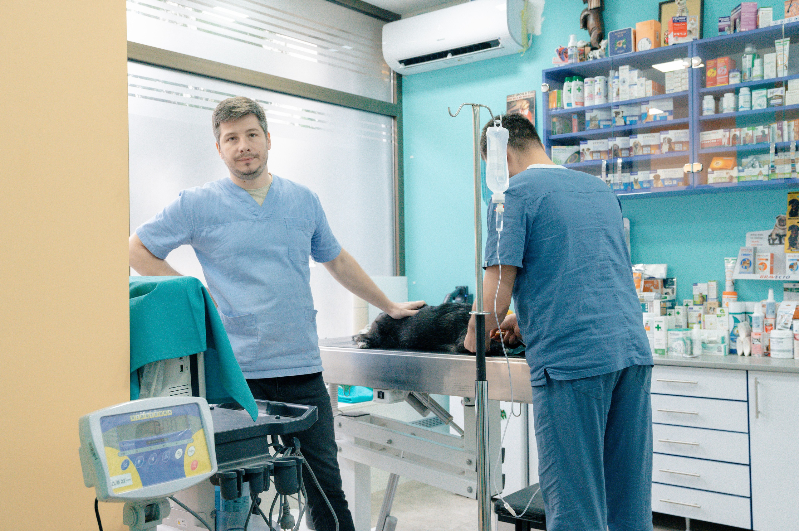 Veterinary clinic «LoyalVet». Art-photographer Ira Wind