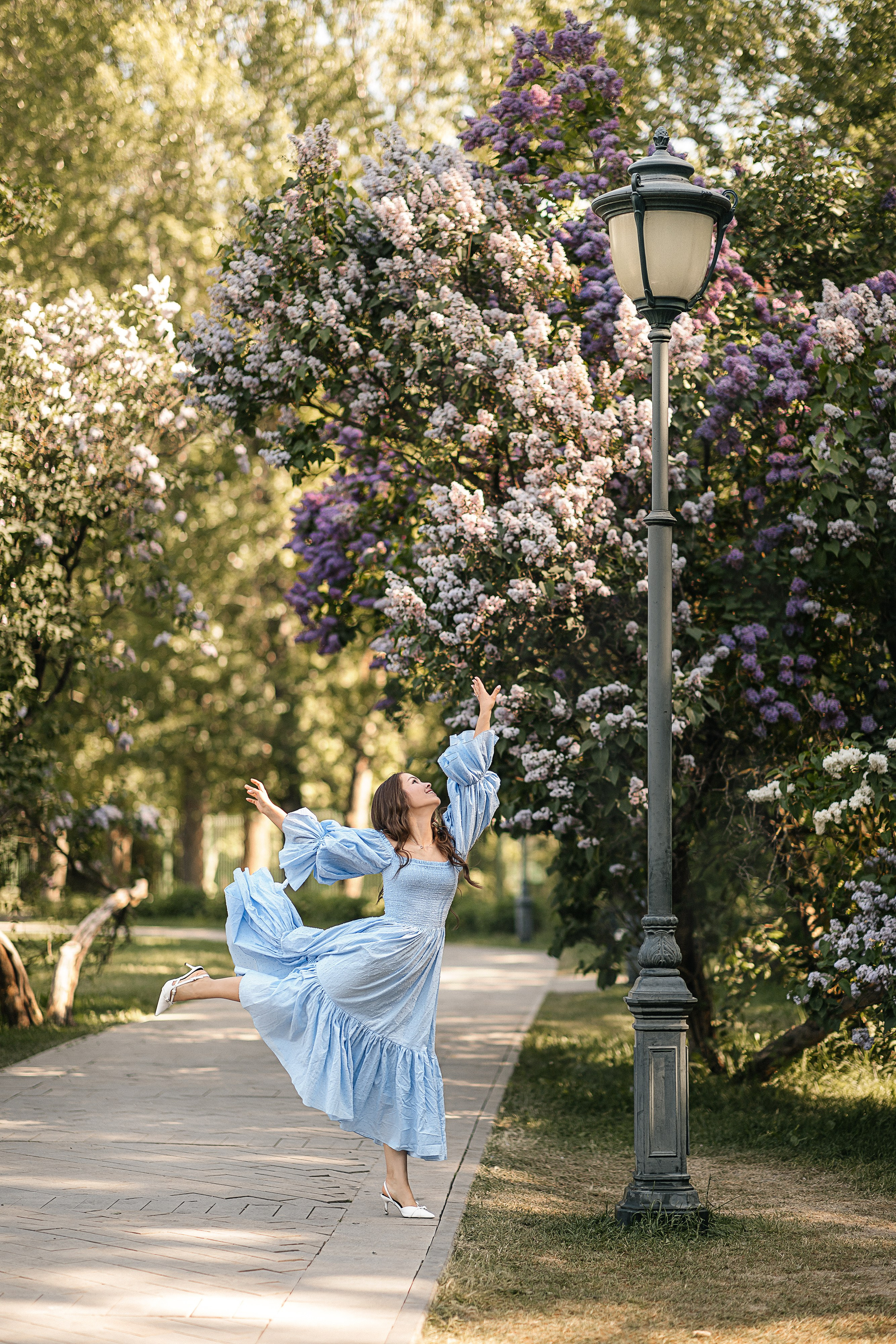 Сирень Азиза. Фотограф Москва