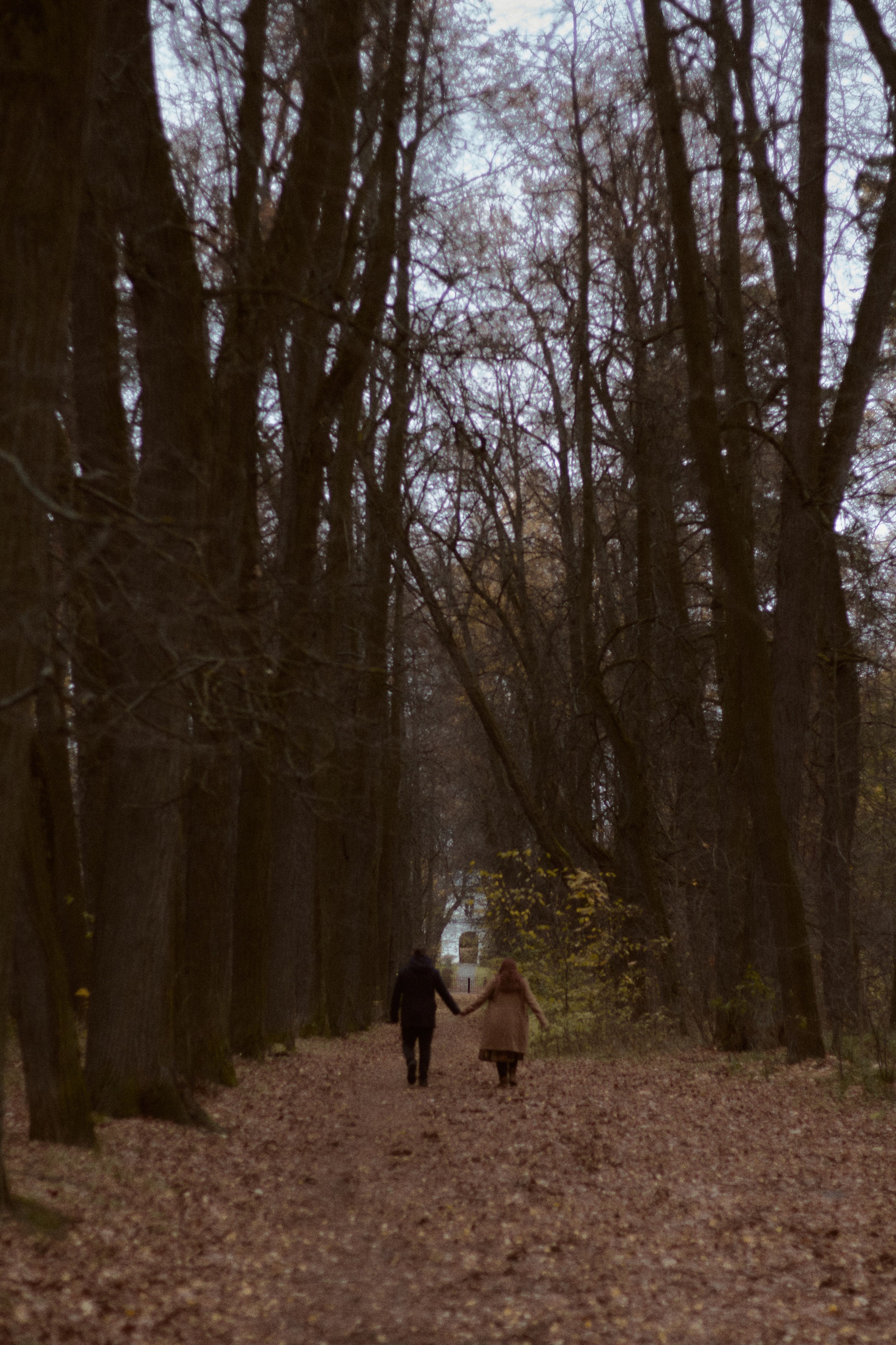 Агата и Даниил. Фотограф лавстори Москва/МО Приятелева Ангелина