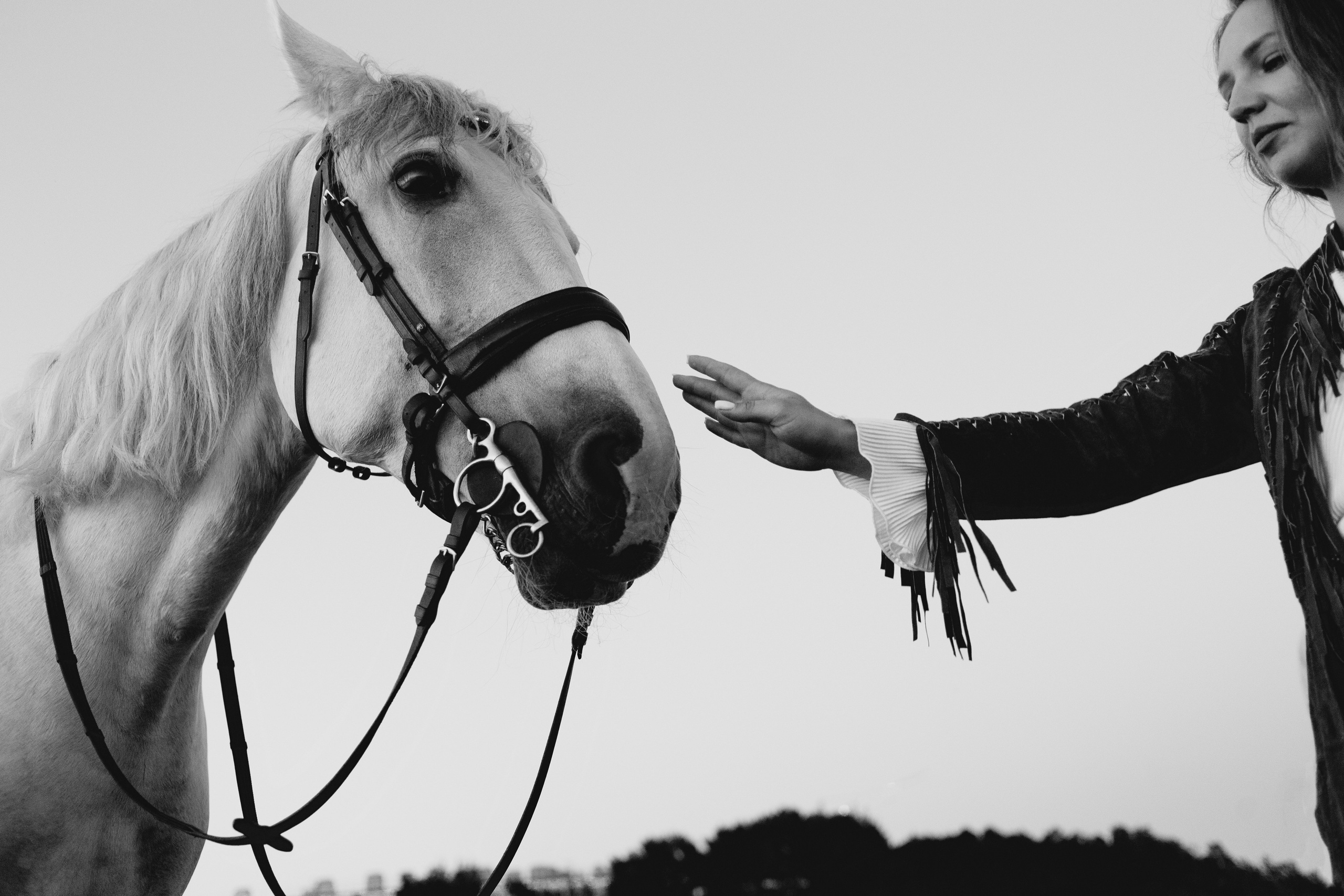 Съемка с лошадью. Фотограф в Санкт-Петербурге Вера Сивенкова