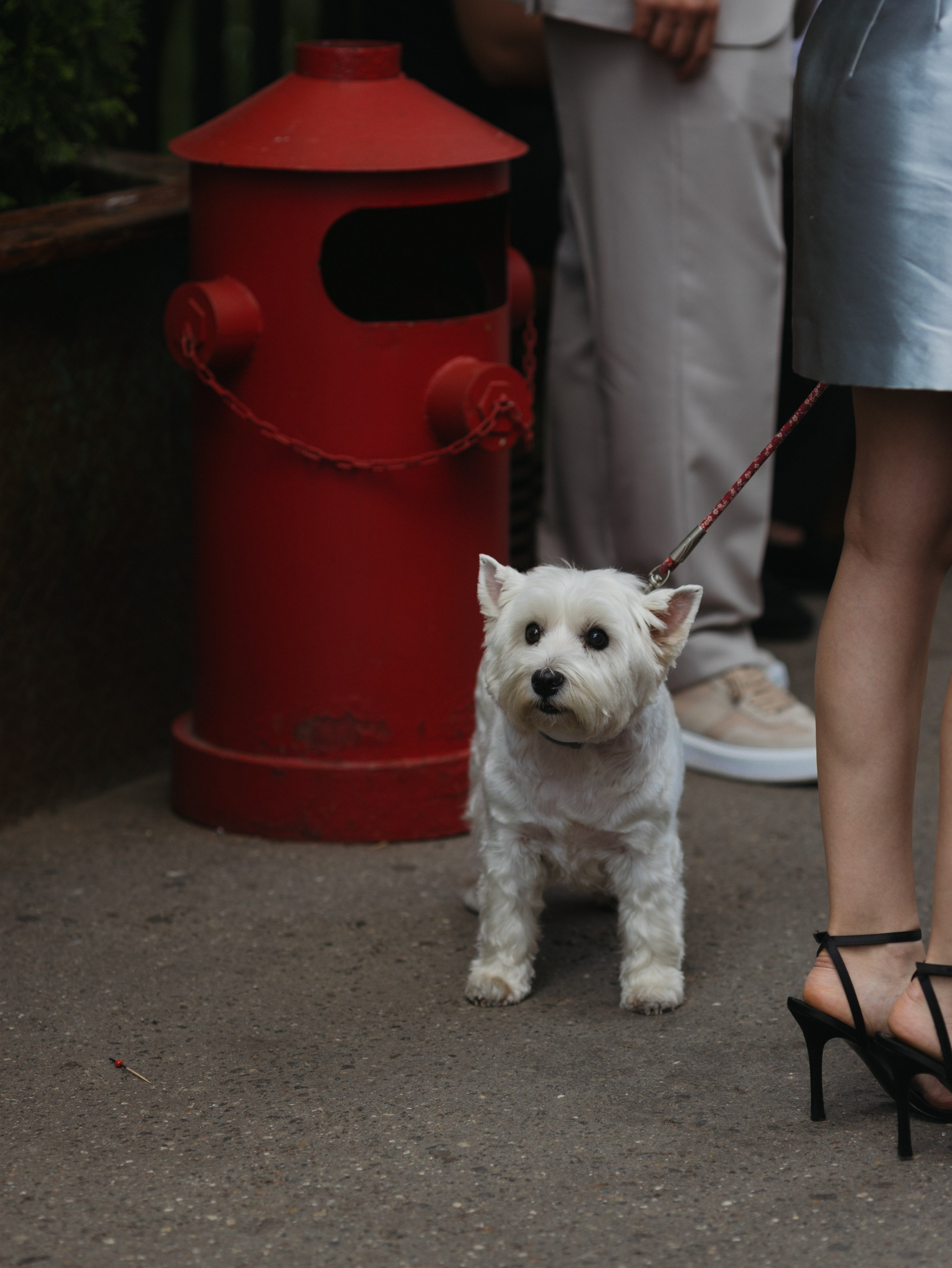 WEDDING. Свадебный фотограф Капаева Виктория