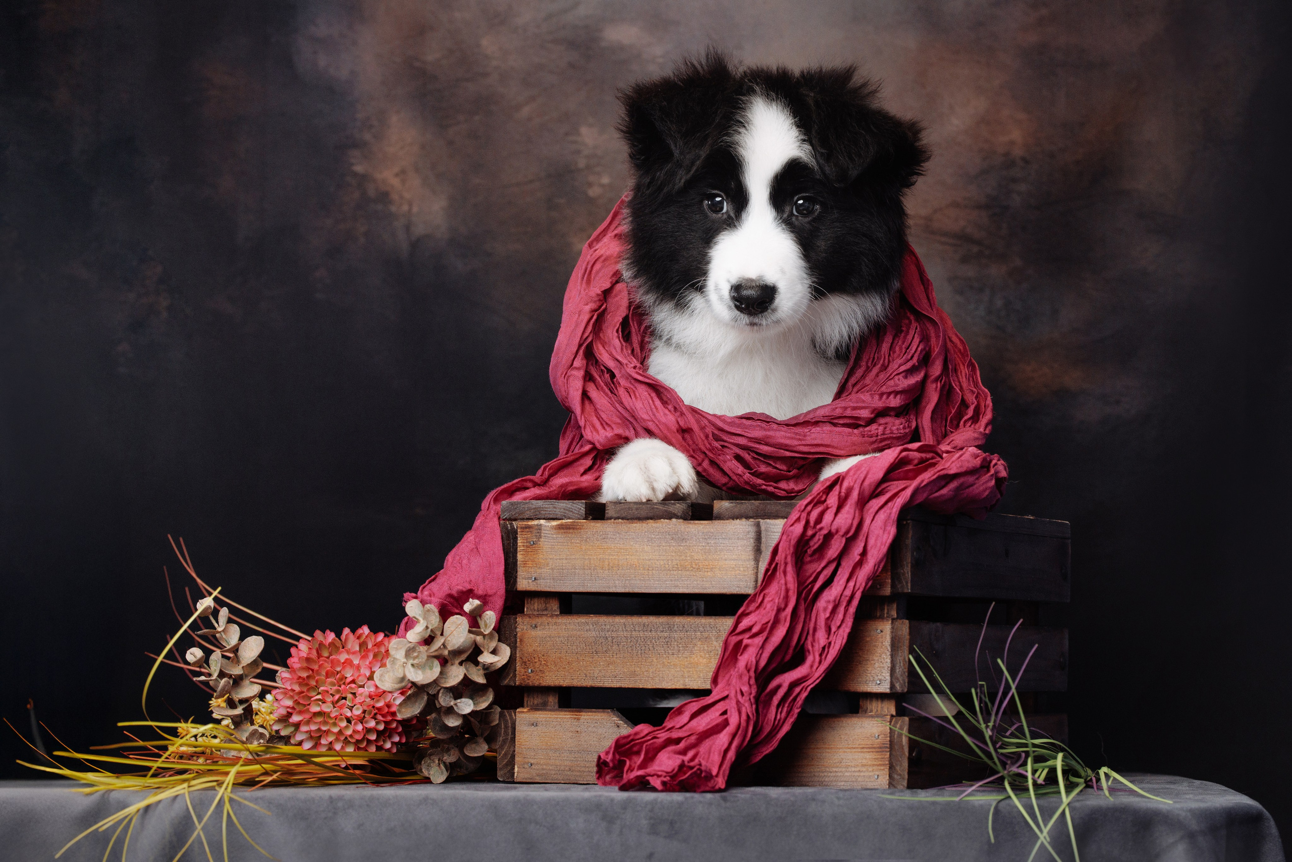 Прогулка п. О нас