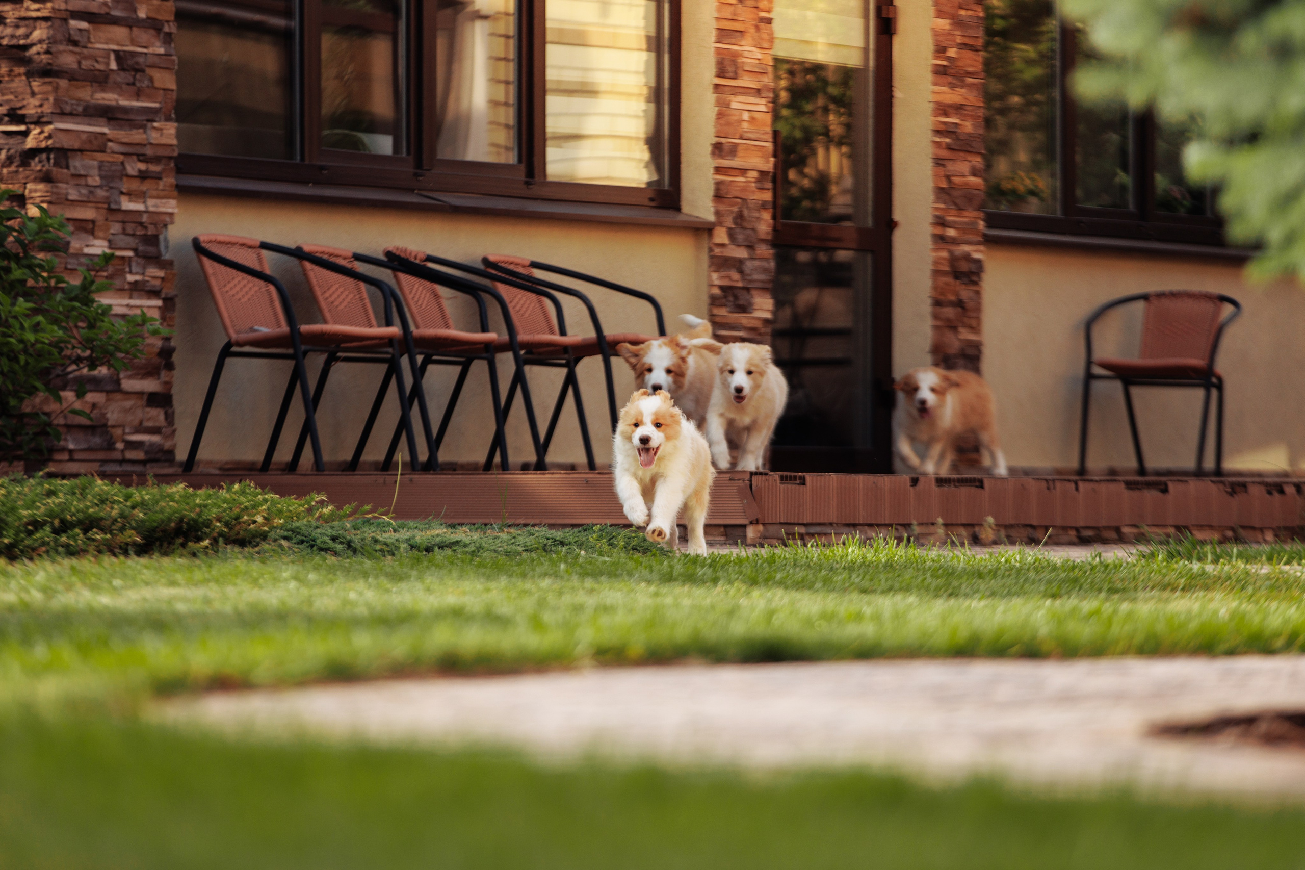 СОлнечные. О нас