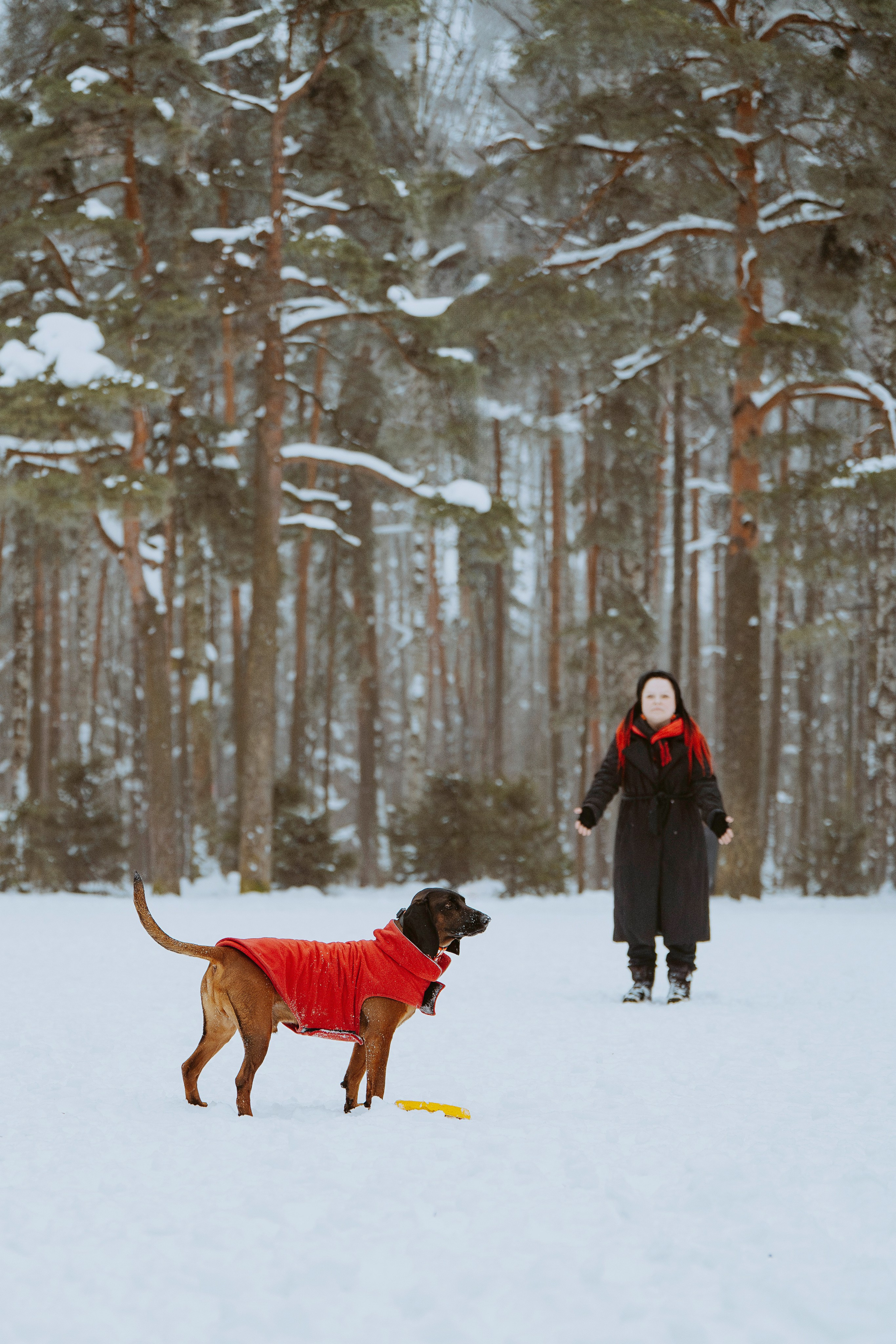 Ольга, Рора и Румпель. Фотограф анималист в Спб недорого Олеся Майорова