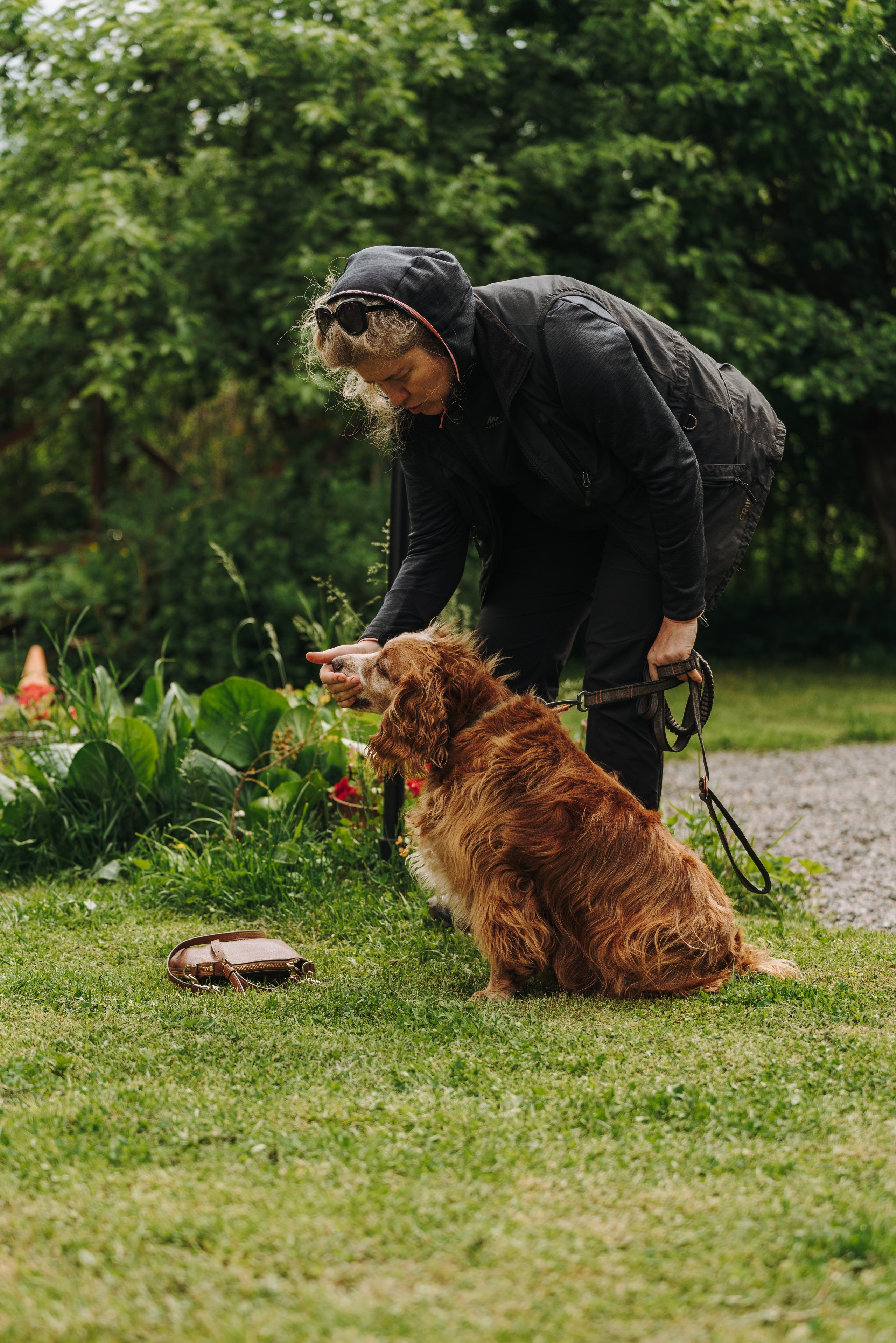 Соревнования по ноузворку. Фотограф анималист в Спб недорого Олеся Майорова