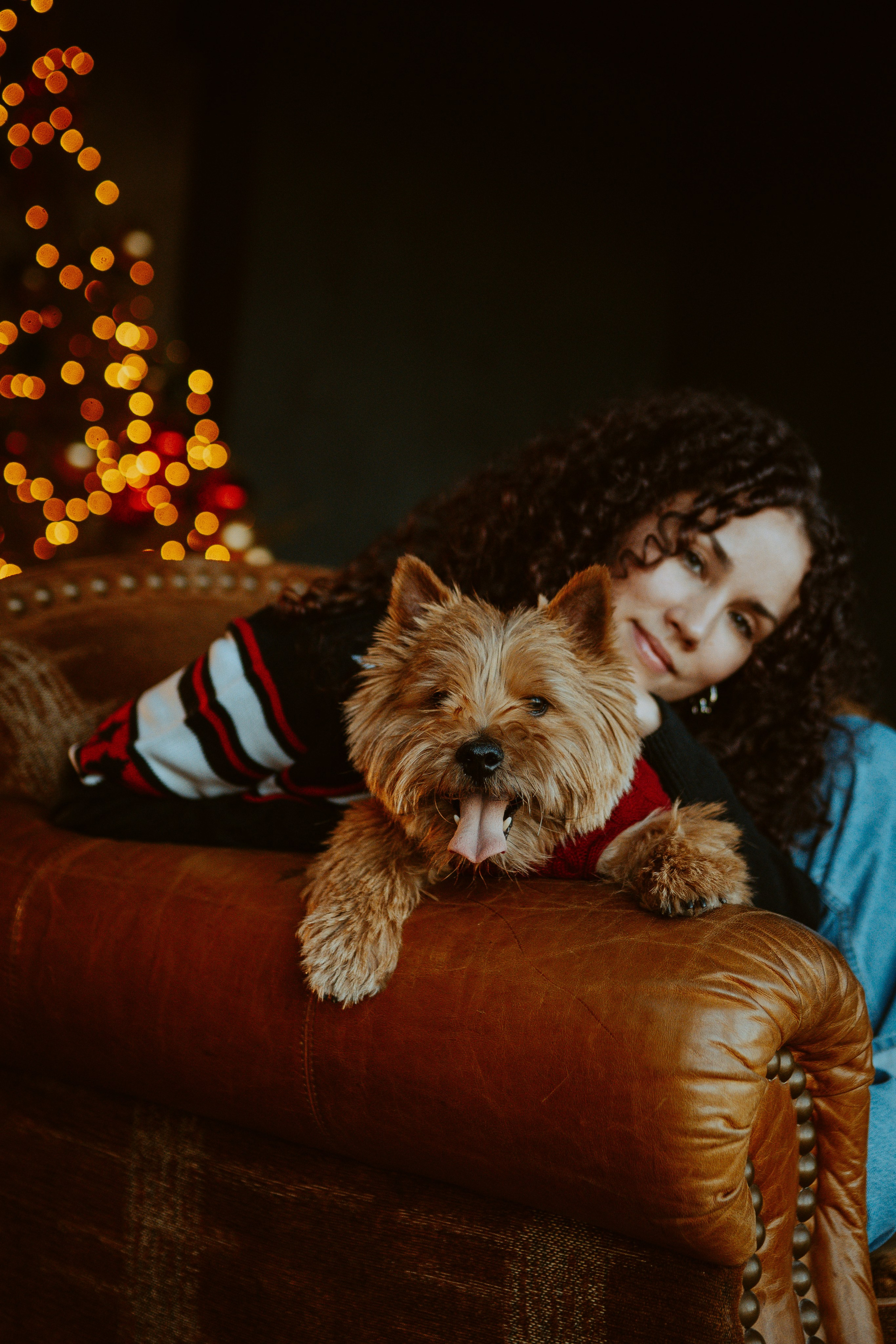Фотосессия с собакой в студии. Фотограф анималист в Спб недорого Олеся Майорова