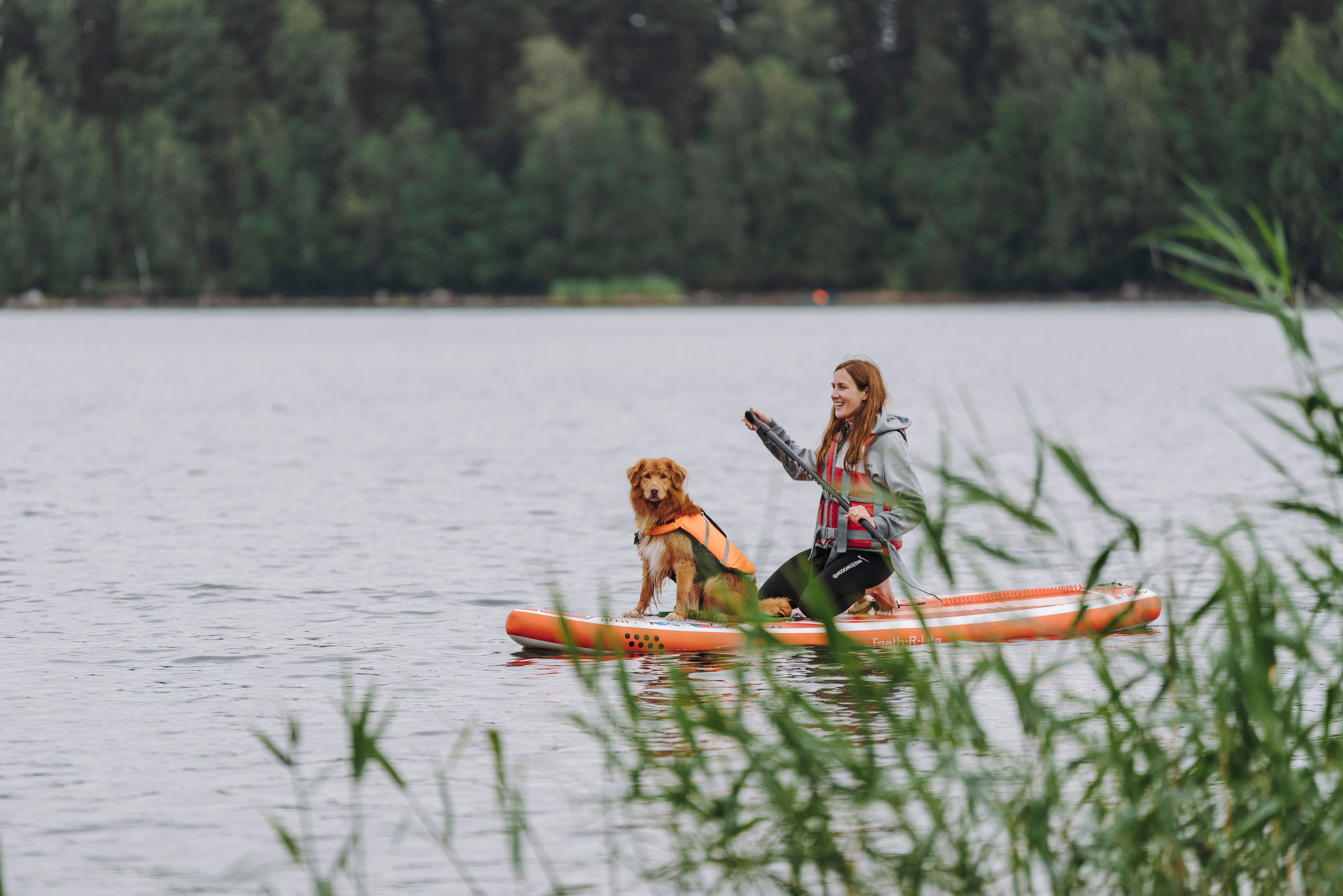 Катание на сапах с собаками. Фотограф анималист в Спб недорого Олеся Майорова