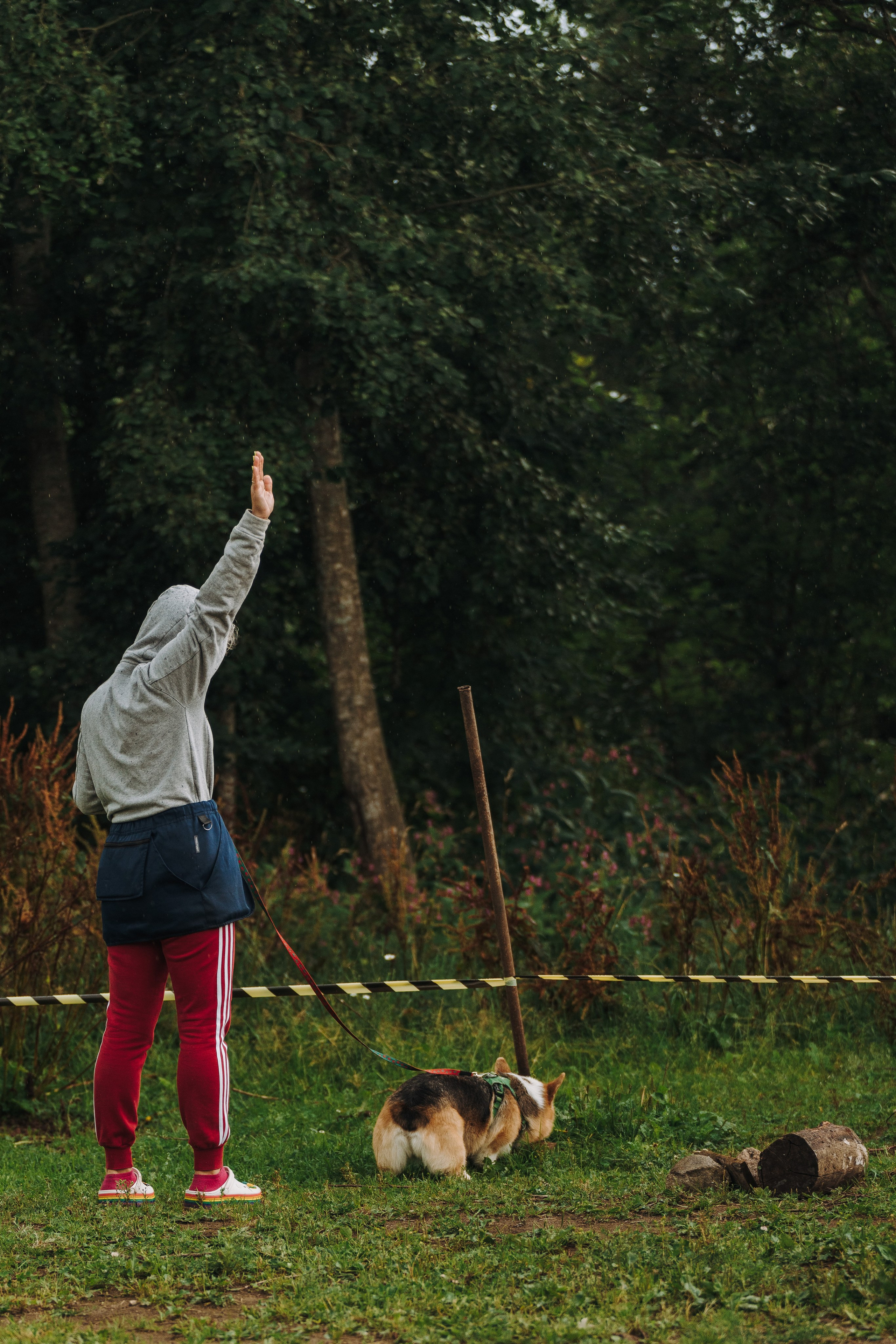 Соревнования по ноузворку в Новожилово. Фотограф анималист в Спб недорого Олеся Майорова