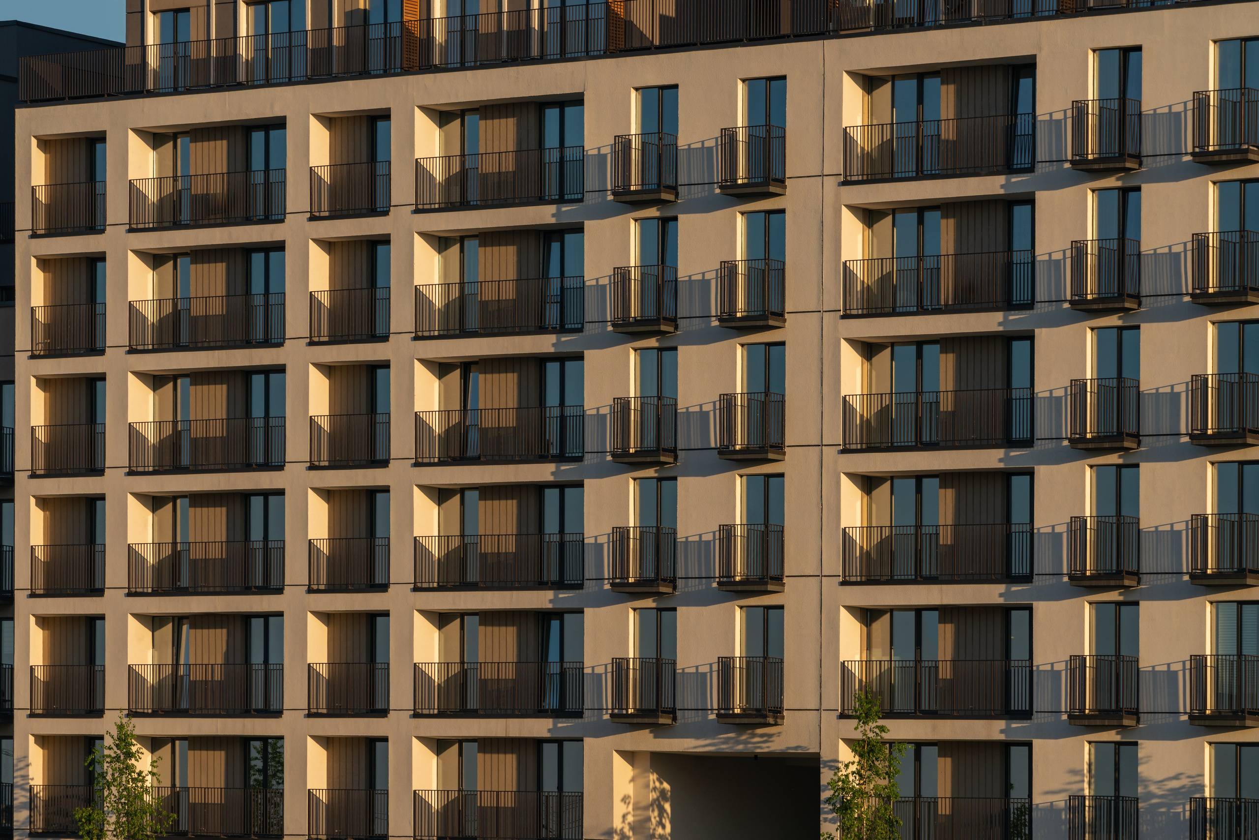 На Академическом | Брусника. Архитектурный фотограф Кирилл Цыбенко. Работаю в Москве, по всей России и Миру