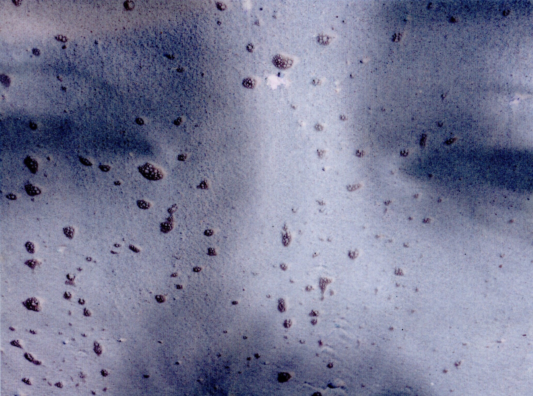 Света Каверина | I am the Sea. Private image