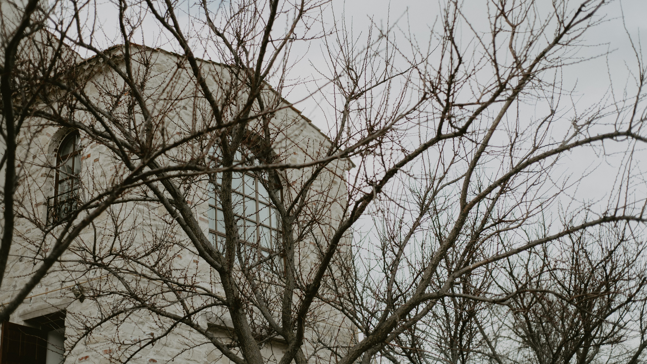 Свадебная фотосессия шато андре Анапа. Фотограф и Видеограф Анапа, Новороссийск, Краснодар. Алина и Женя