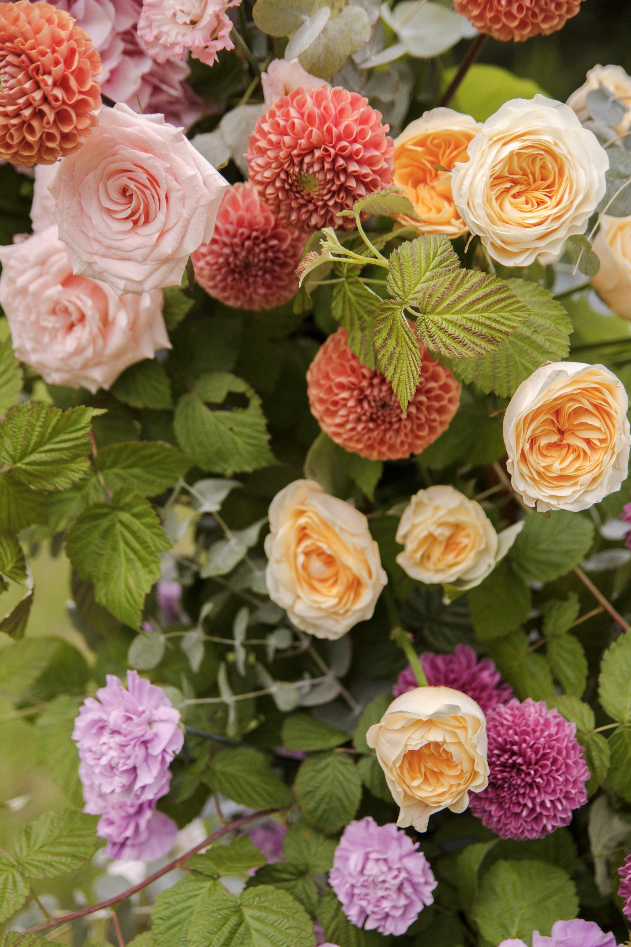 Дмитрий и Анастасия 2023. Ксения Почтарь. Декоратор и флорист, город Владивосток