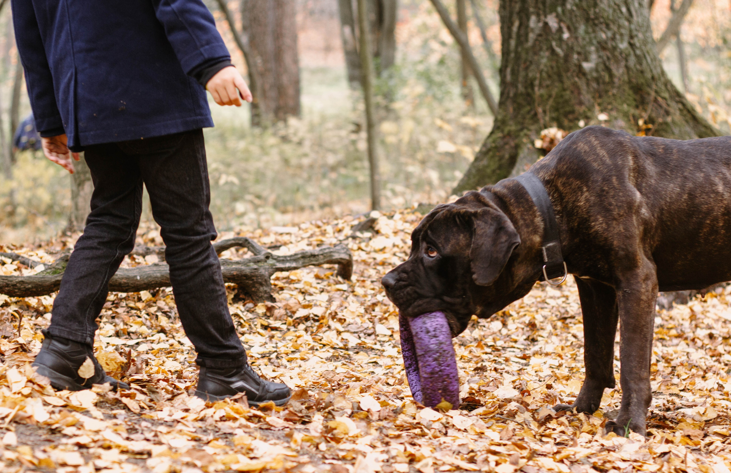 Настя, Тим и Эричка. Портретный и семейный фотограф в Санкт-Петербурге Кристина Трушникова