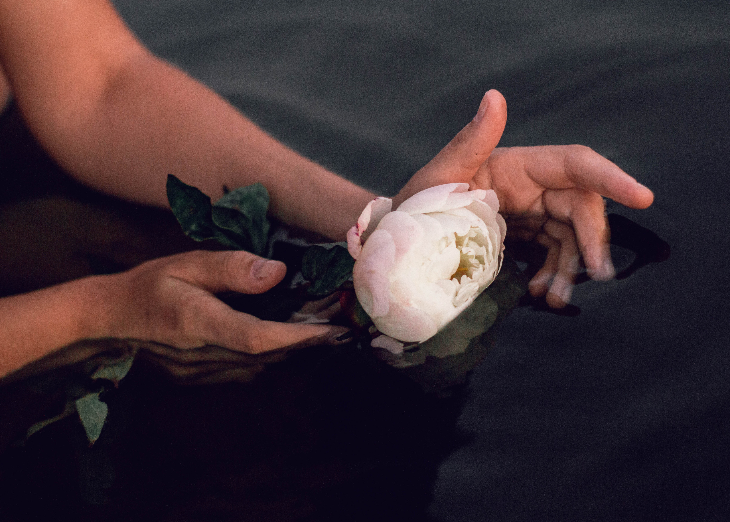 Вероника. Портретный и семейный фотограф в Санкт-Петербурге Кристина Трушникова