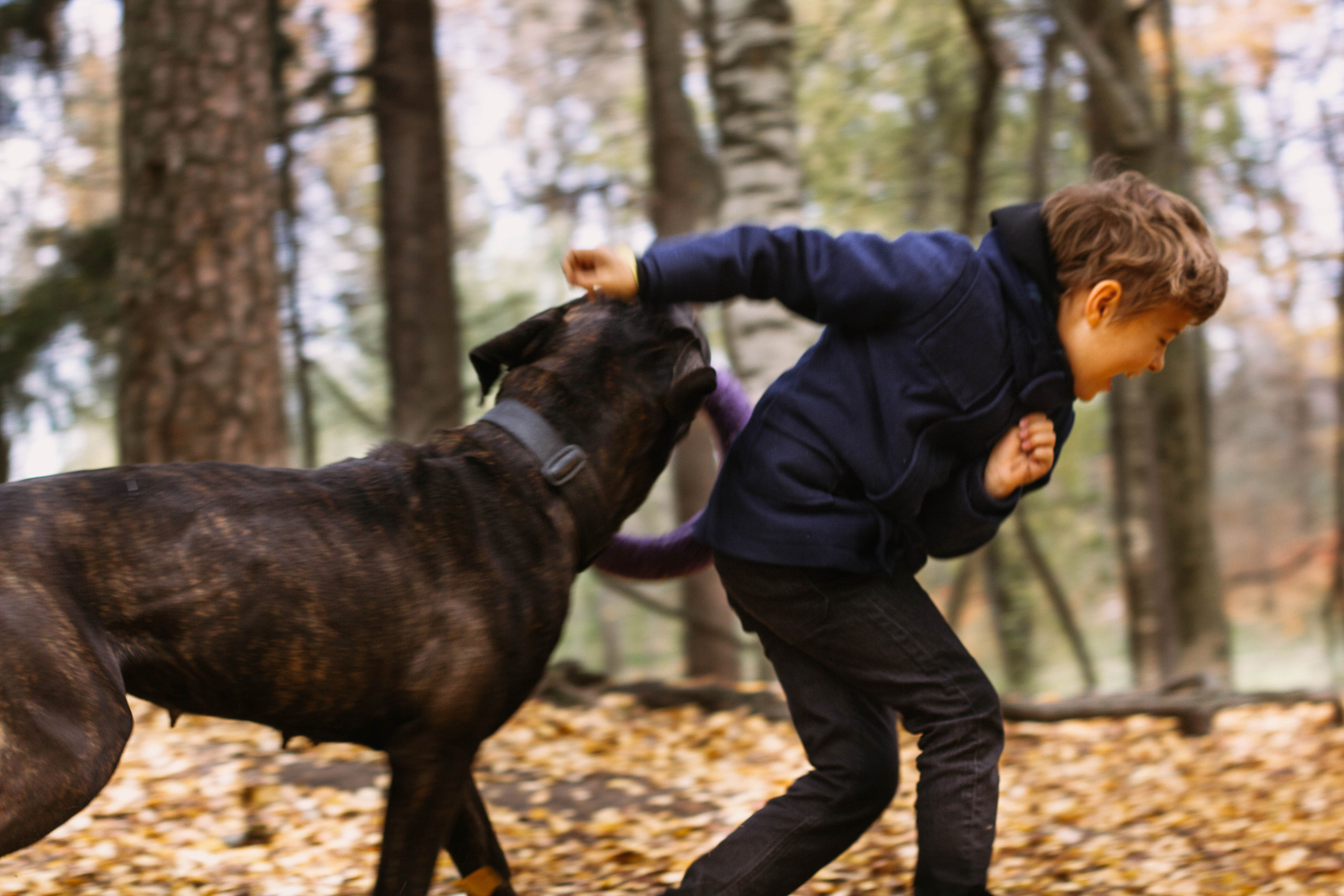 Настя, Тим и Эричка. Портретный и семейный фотограф в Санкт-Петербурге Кристина Трушникова