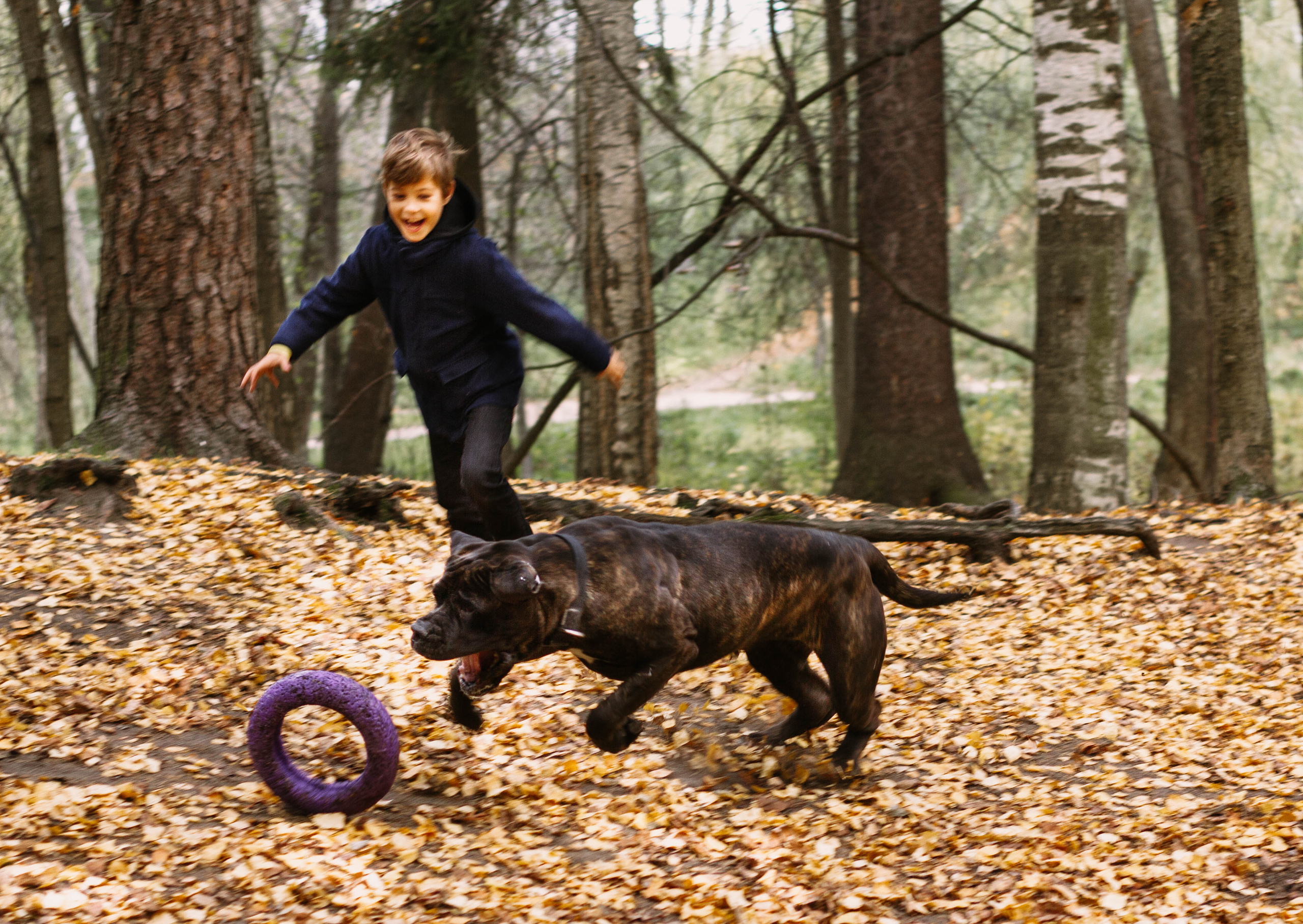 Настя, Тим и Эричка. Портретный и семейный фотограф в Санкт-Петербурге Кристина Трушникова