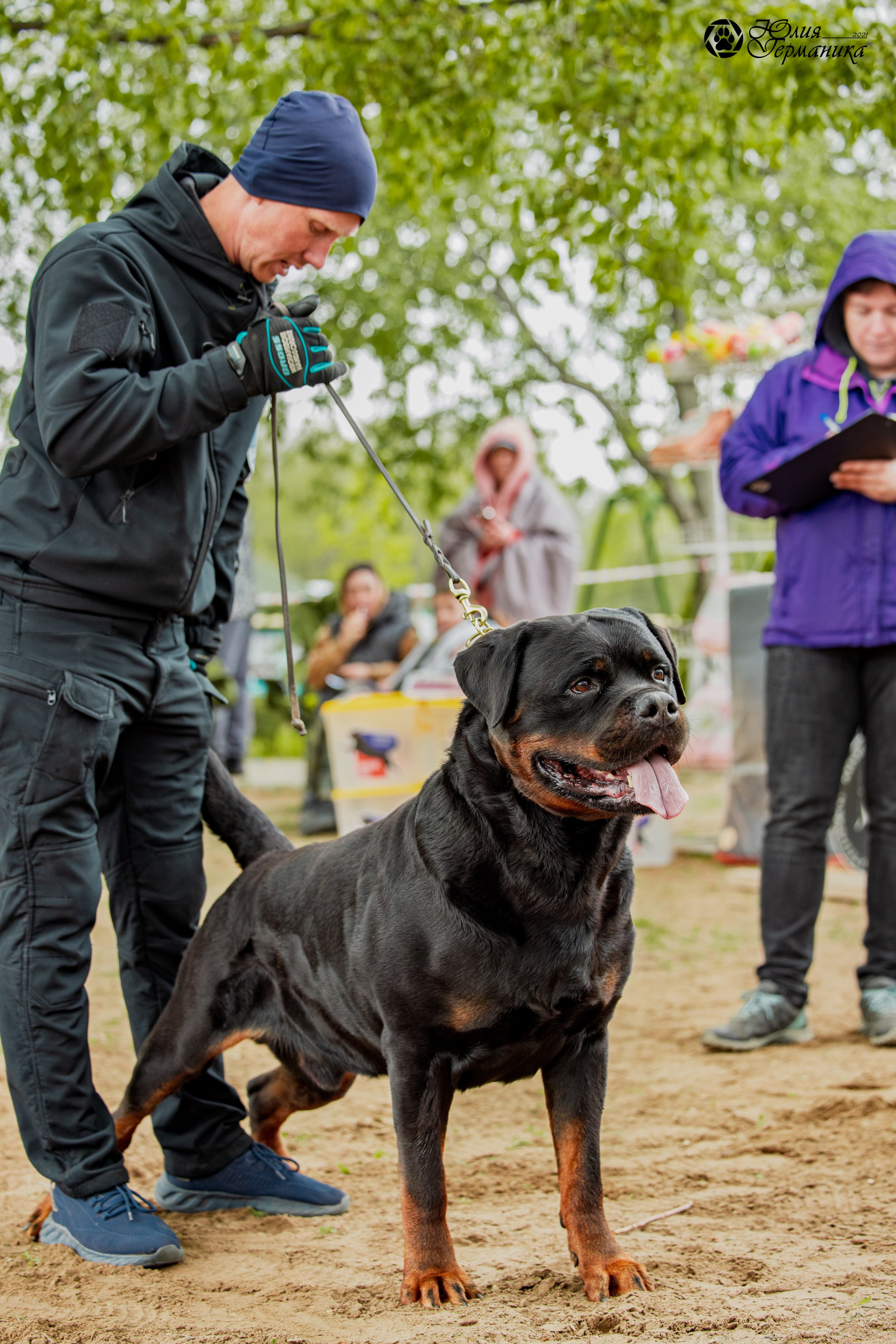 Саратов моно ротвейлеров 26-27.04.2025. Фотограф-анималист Юлия Германика