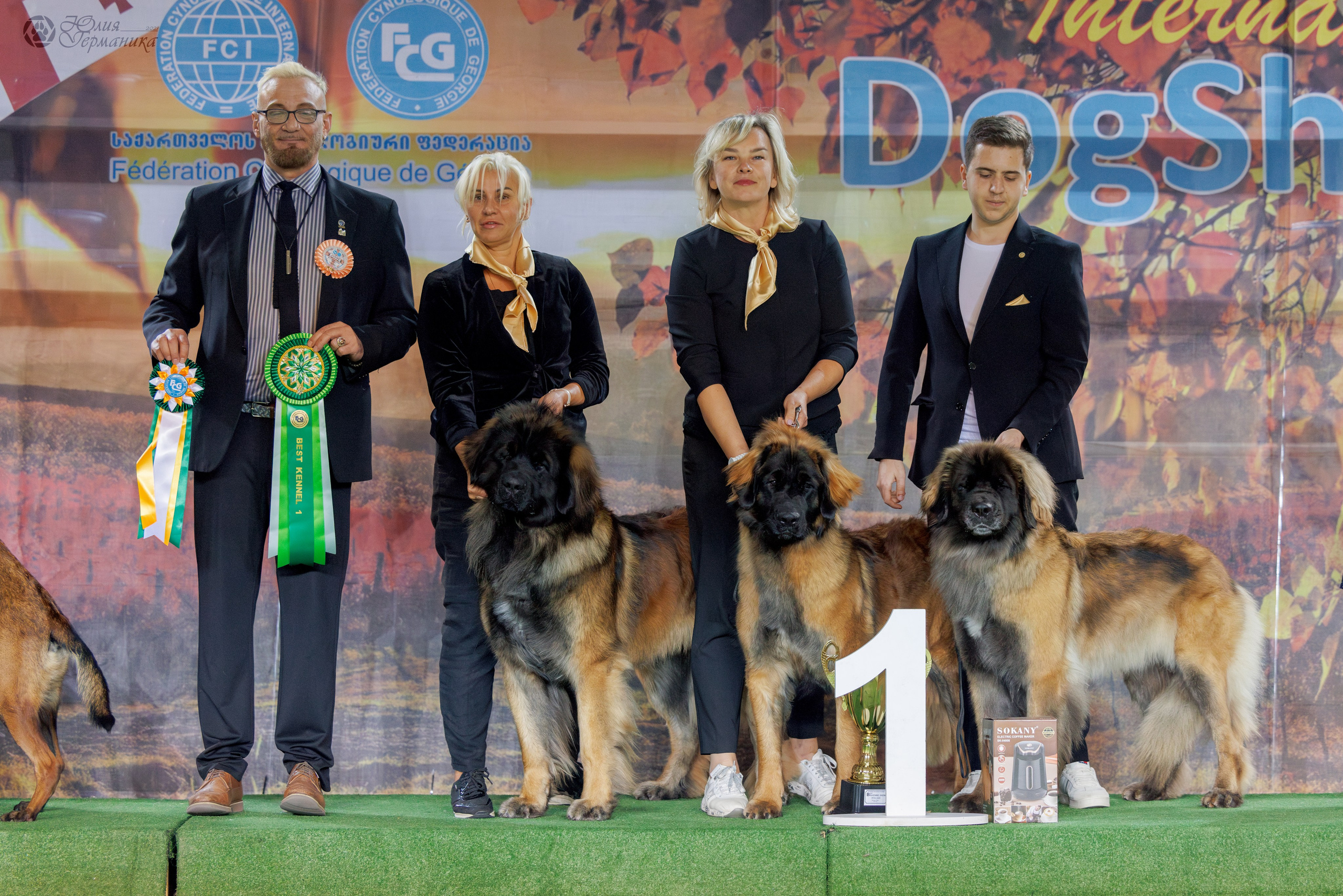 Грузия,Телави 2хCACIB 19-20.10.2024. Фотограф-анималист Юлия Германика