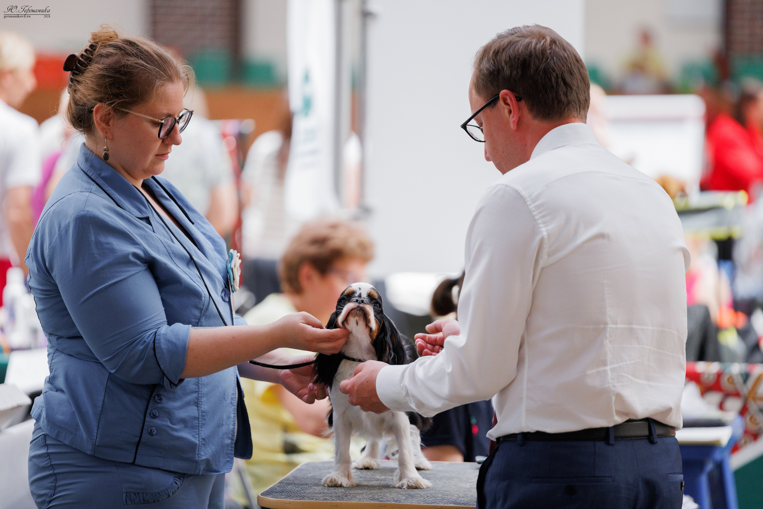 РОССИЯ 8-9.06.2024. Фотограф-анималист Юлия Германика