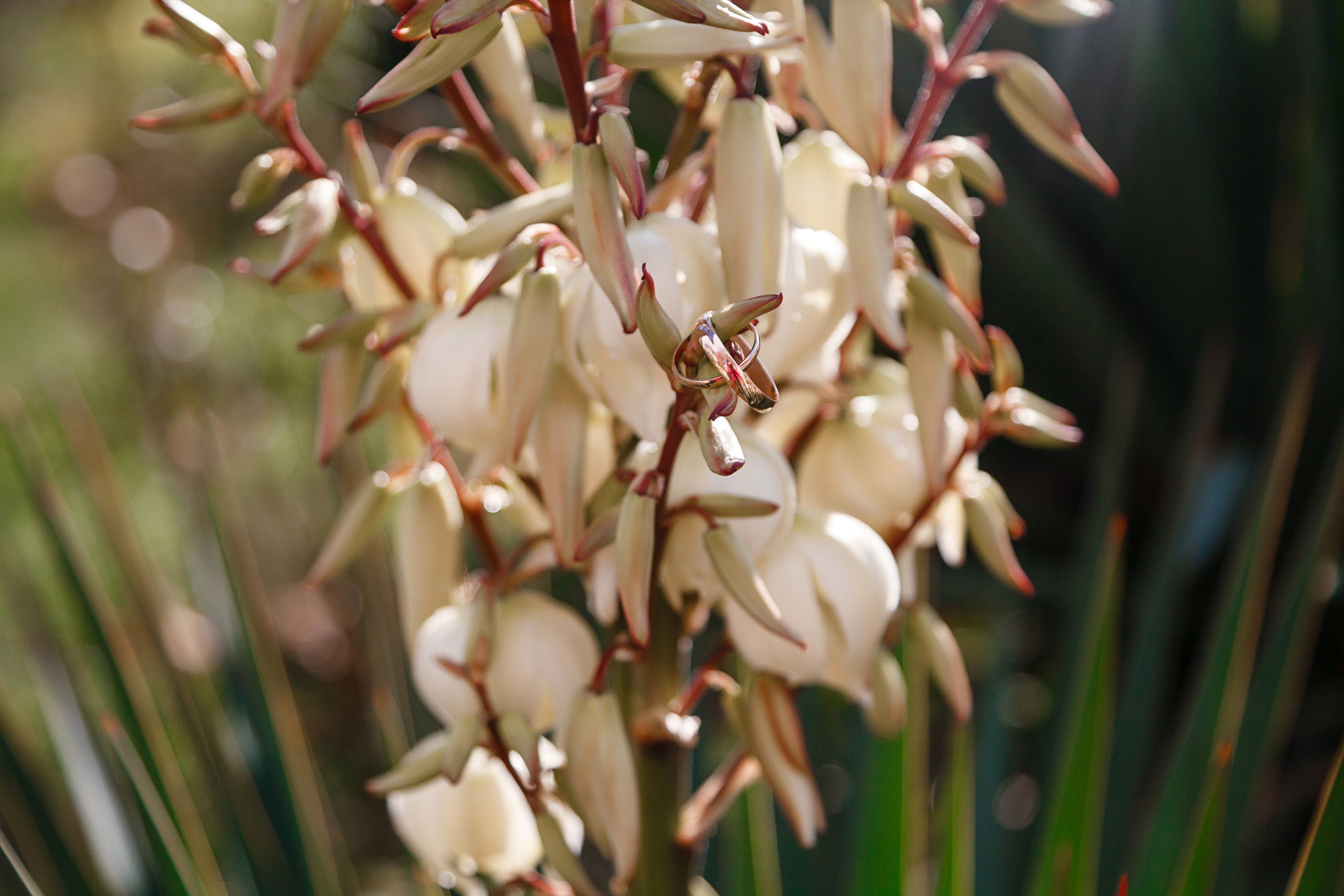 10.11.23. Свадебный и семейный фотограф в Армавире