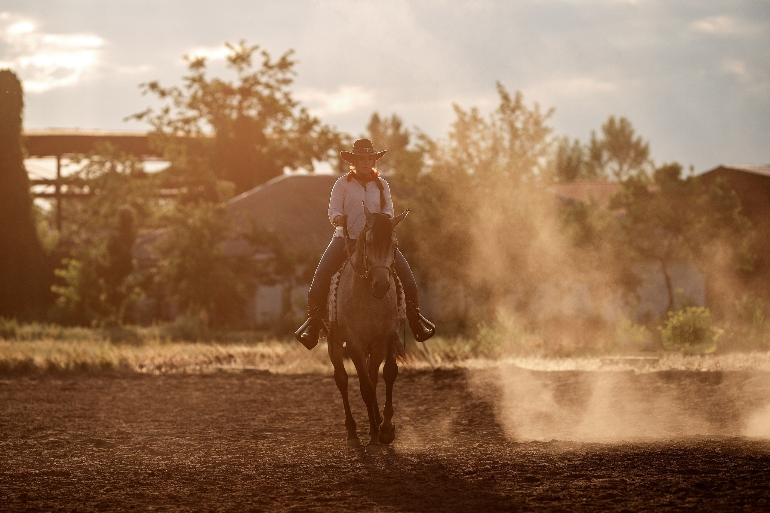 Ковбои. BrisArts