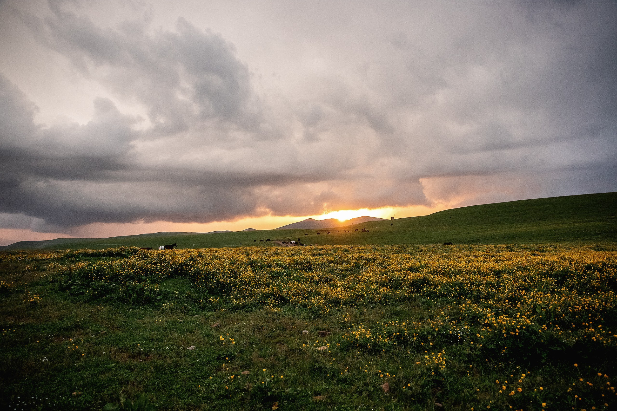 Плато Бийчесын. BrisArts