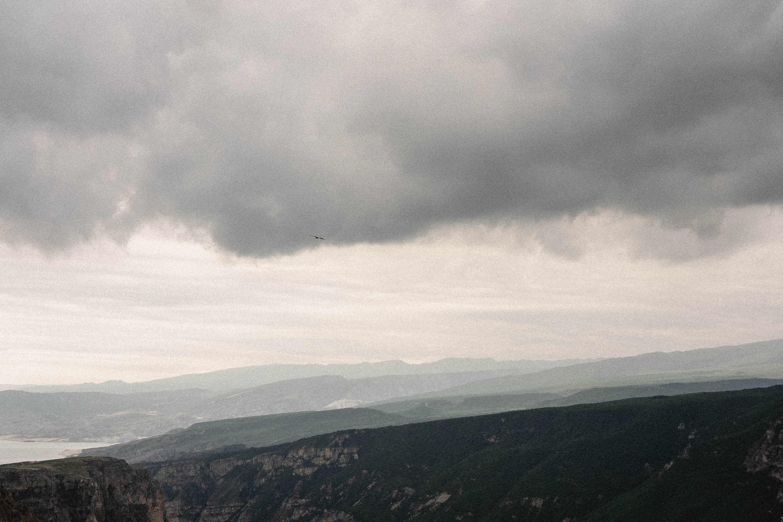 Кавказ. Профессиональный фотограф, Санкт-Петербург — Виктория Богомолова