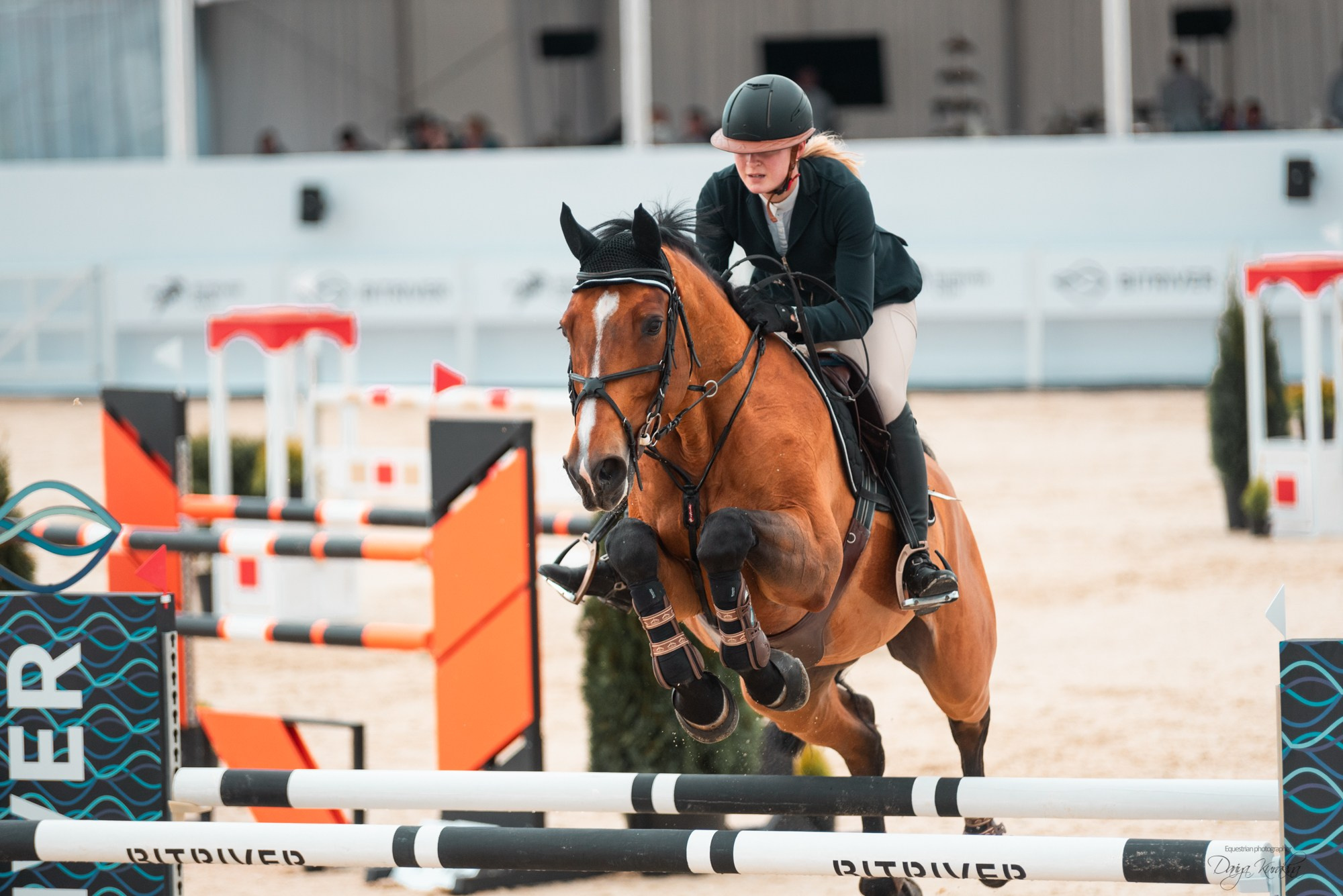 BITRIVER CUP 2023. Конный фотограф Куракина Дарья • Фотосессии с лошадьми