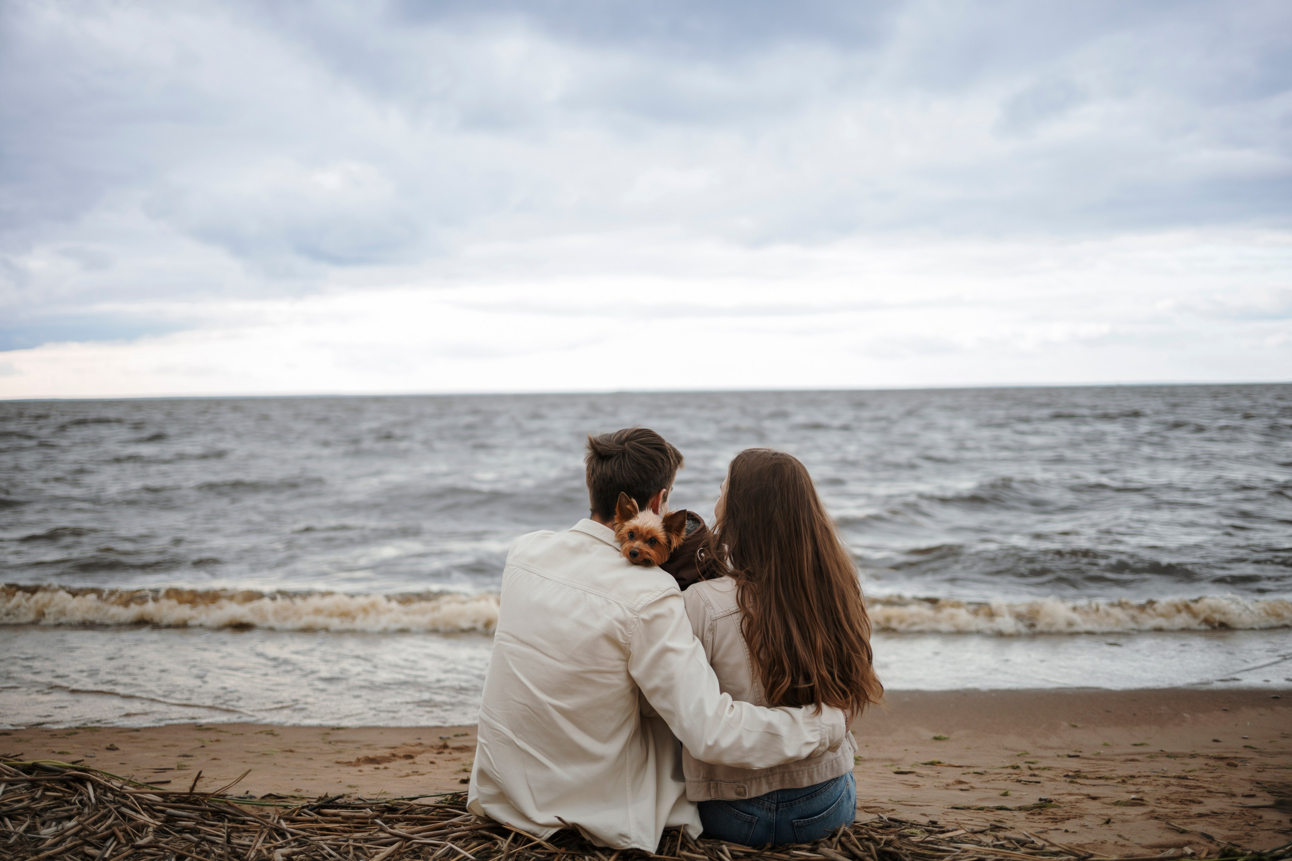 День из жизни Чуи и его семьи. Фотограф-анималист в Санкт-Петеребурге Титова Алиса