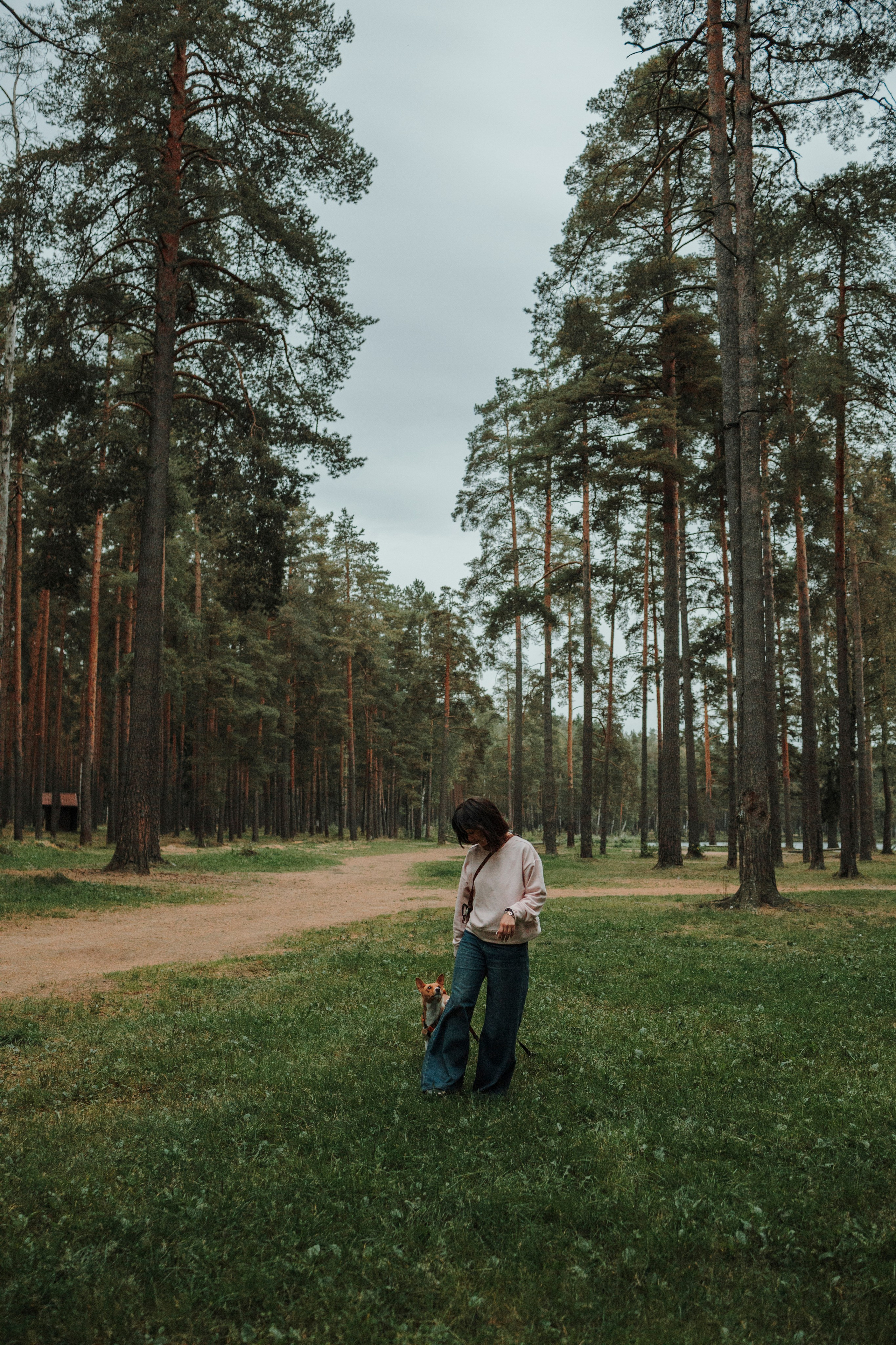 Даша и Лора. Фотограф-анималист в Санкт-Петеребурге Титова Алиса