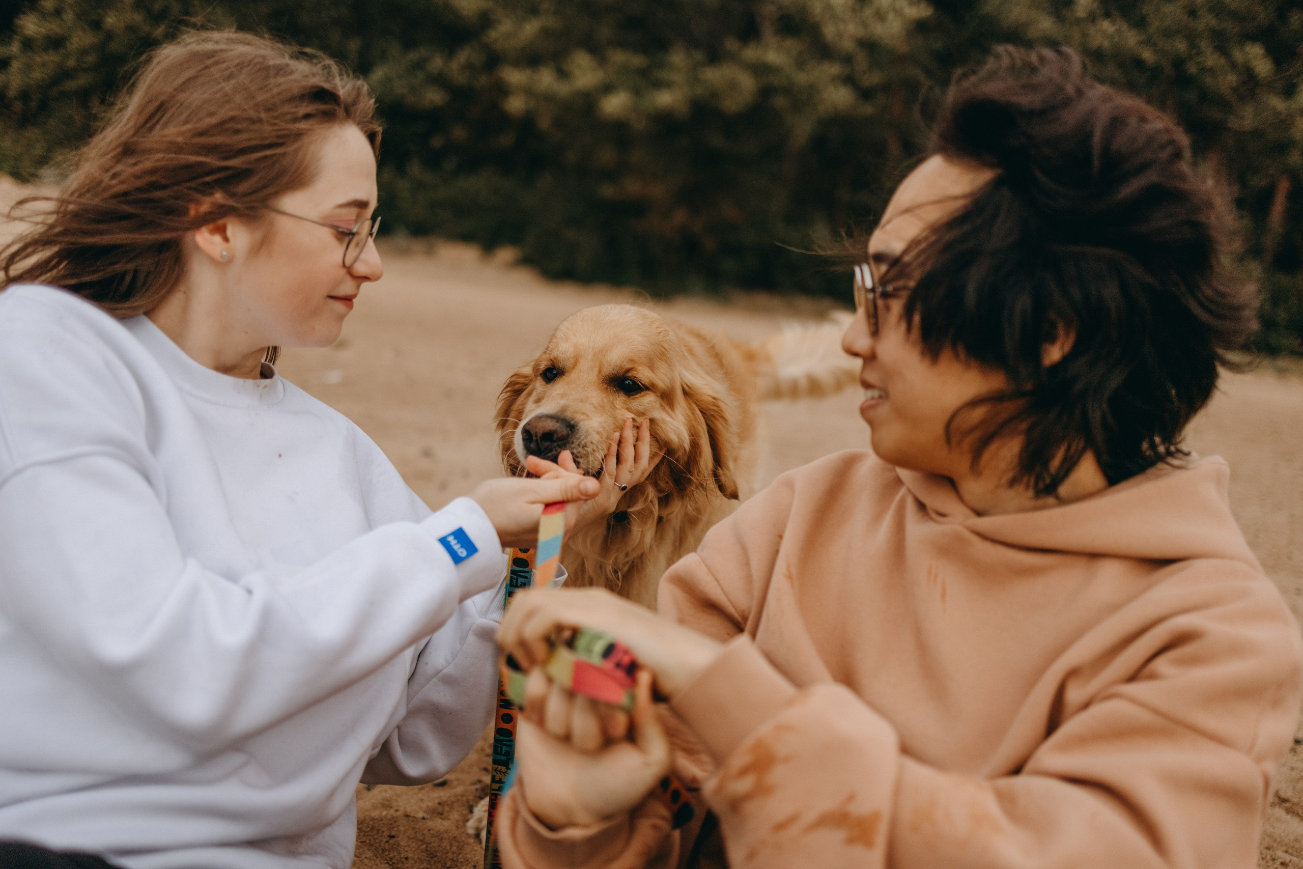 Фоси и его семьи. Фотограф — Анималист | Санкт-Петербург