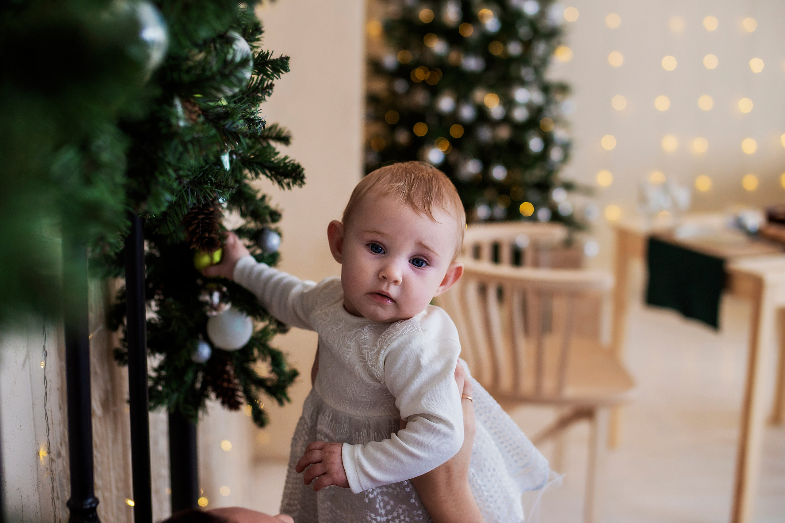 24.12.23. Семейный фотограф в Саратове