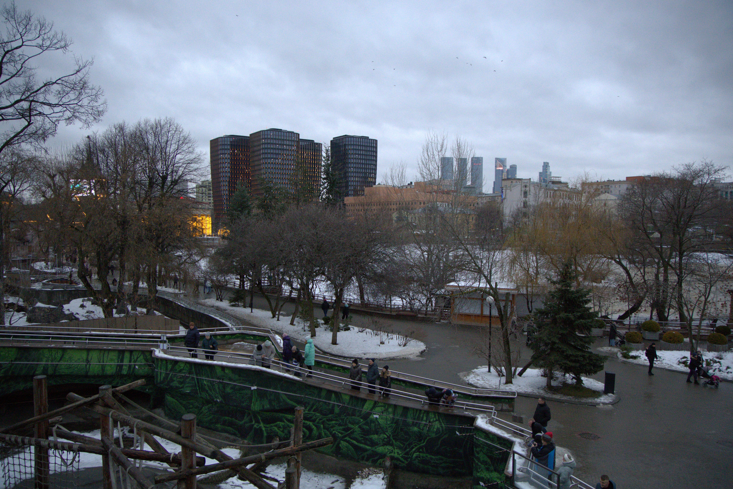 ЗООПАРК. ФОТОГРАФ В МОСКВЕ СТАНИСЛАВ КОБЗЕВ