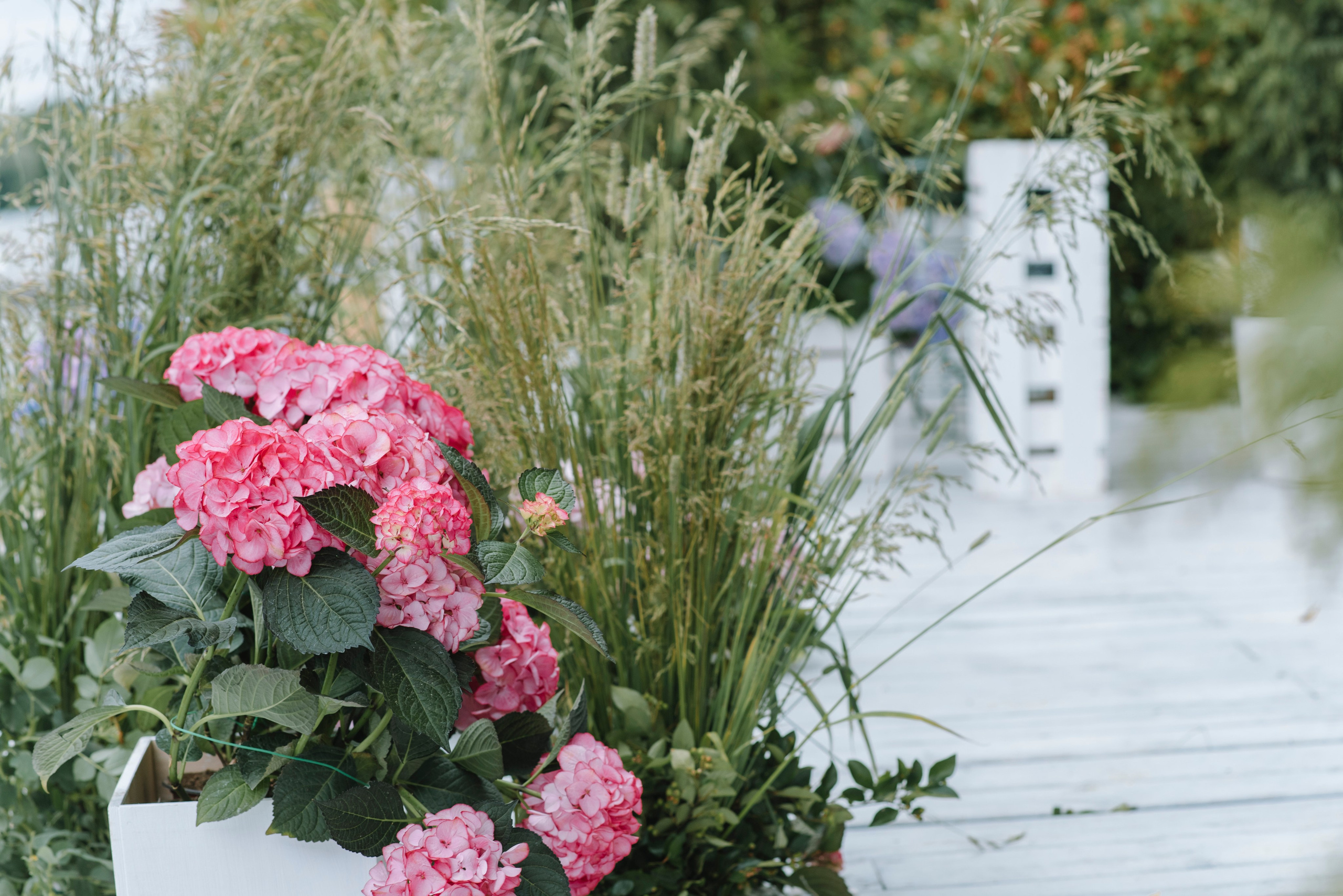 Ресторан Причал. Оформление свадеб, декор свадеб Вера Маркова, Москва