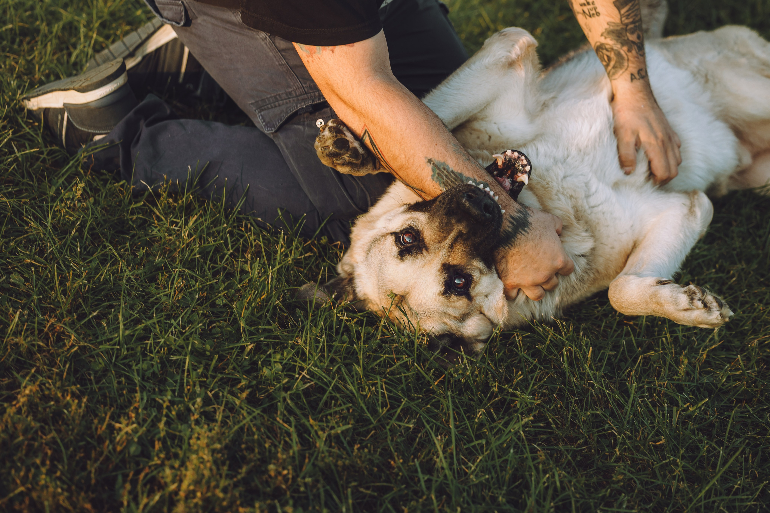 Кристина и все-все