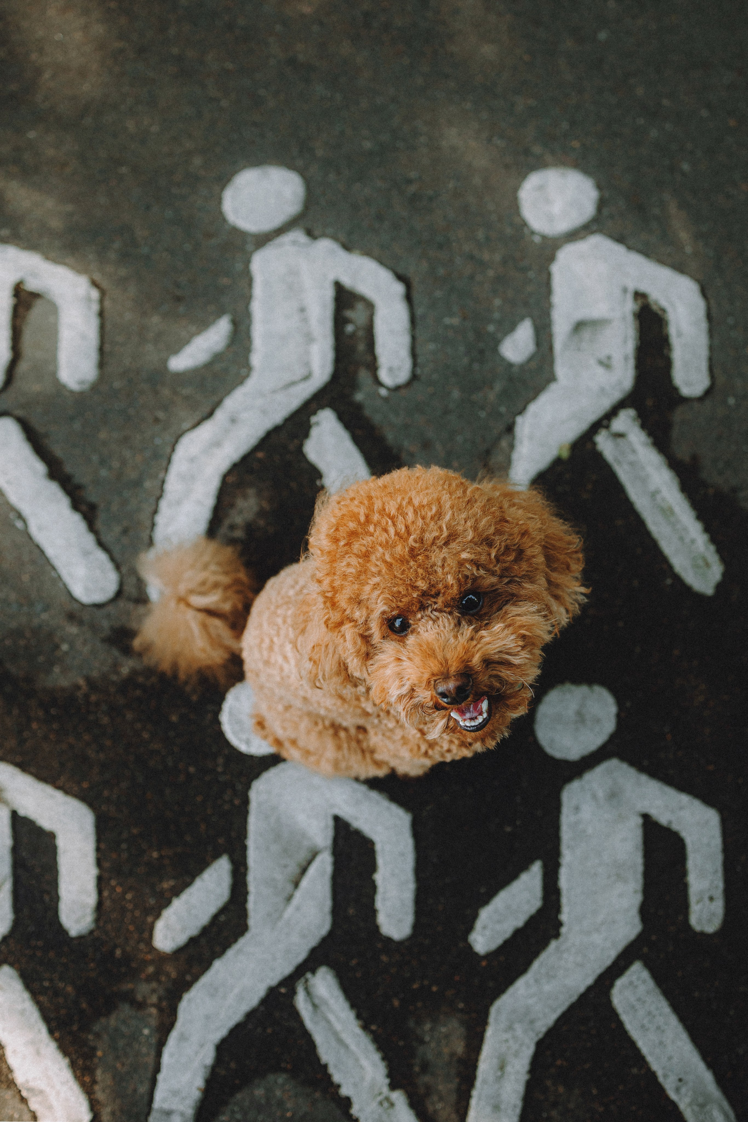 Марья и Буба