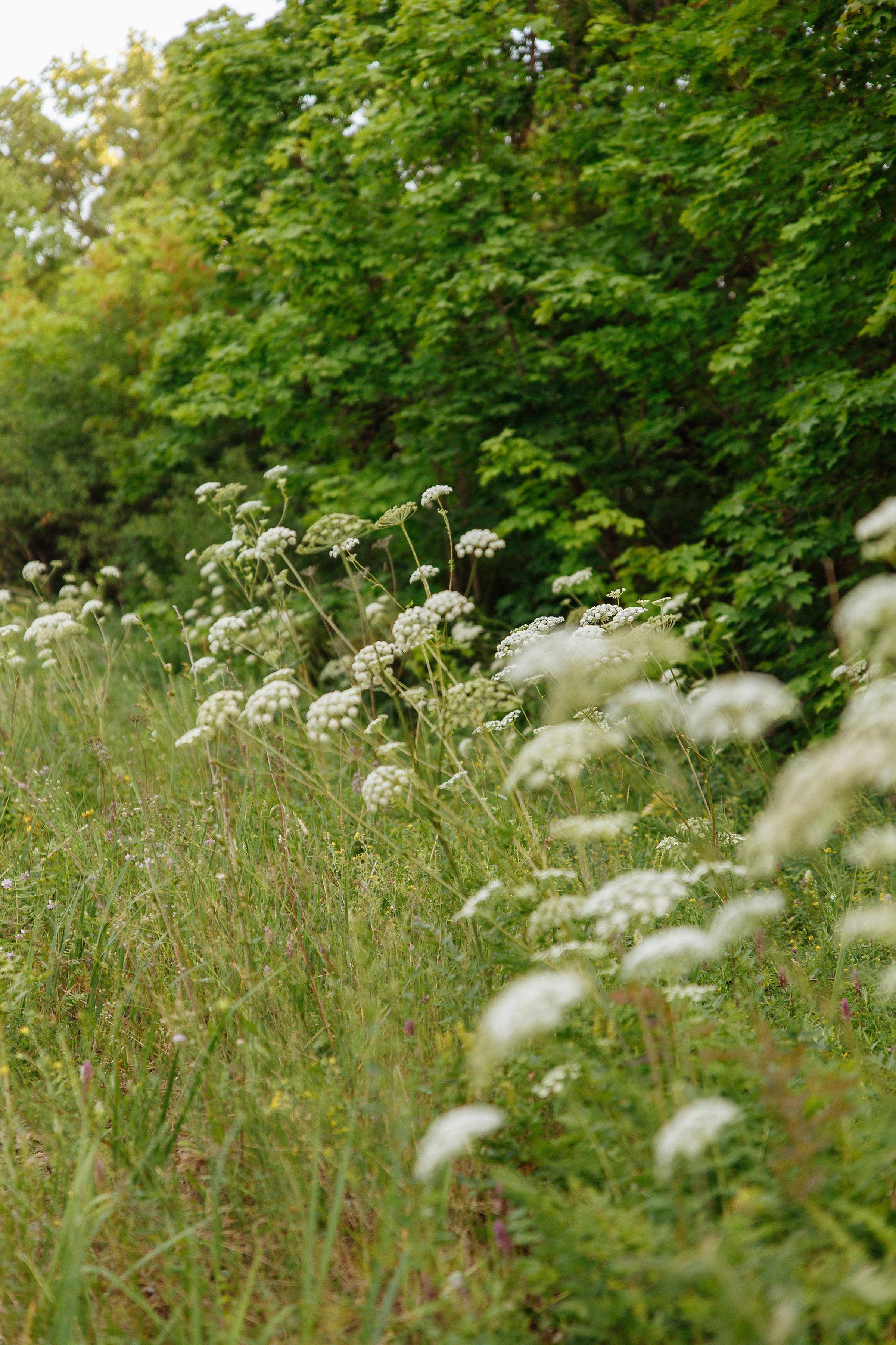 Беременность Оля и Паша. Свадебный фотограф в Самаре и Тольятти Полина Никитина