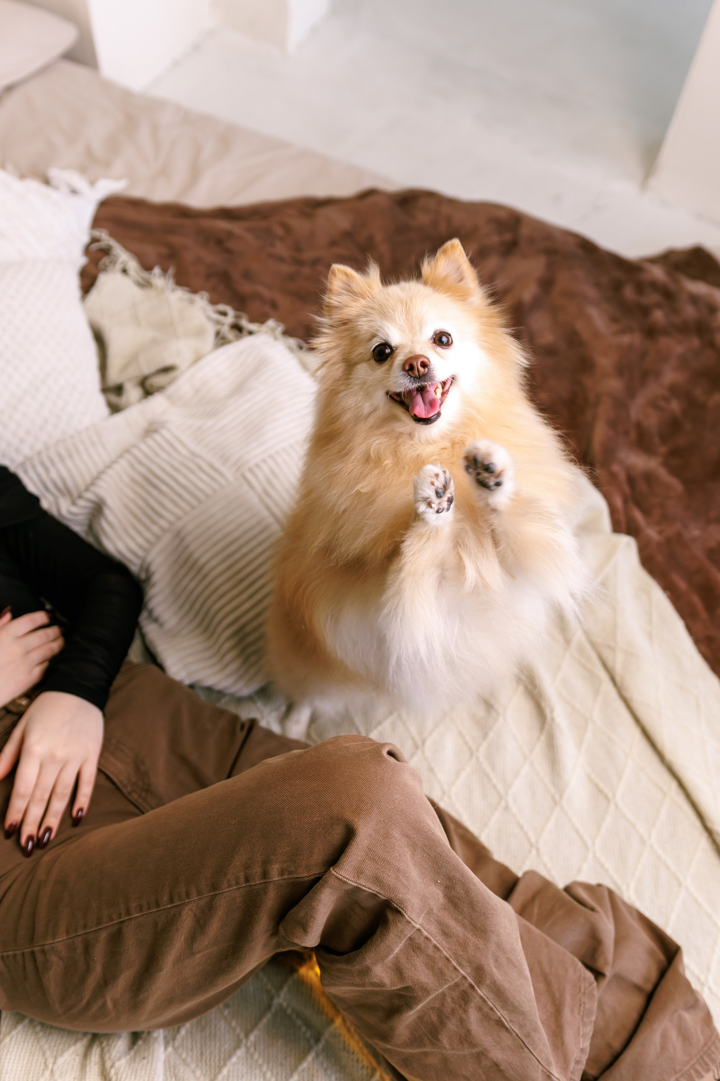 You're my sunshine. Лиза, ваш портретный и репортажный фотограф в Ульяновске!