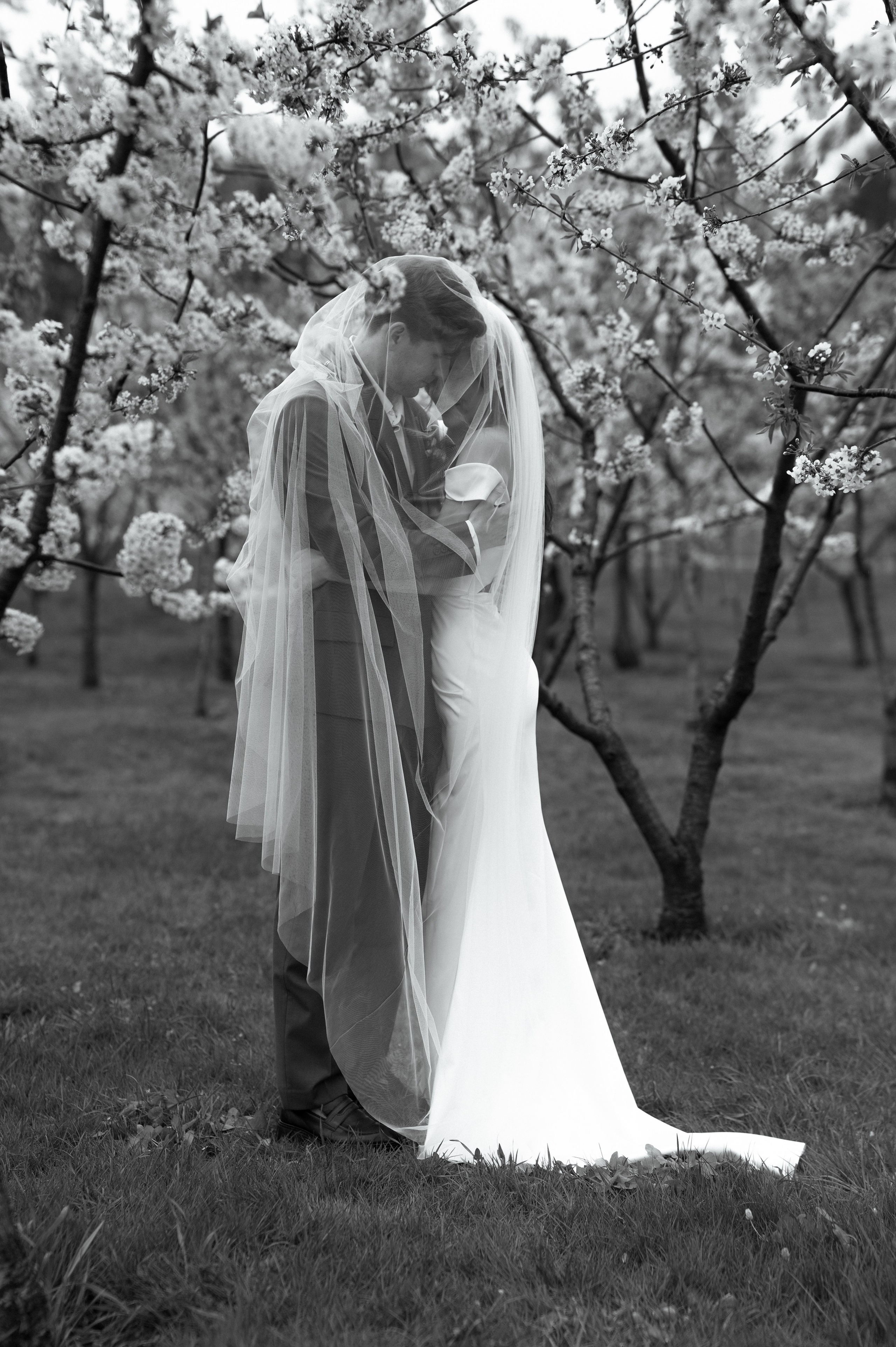 В весеннем цвету. Семейный, свадебный и репортажный фотограф в Москве Анастасия Светлова