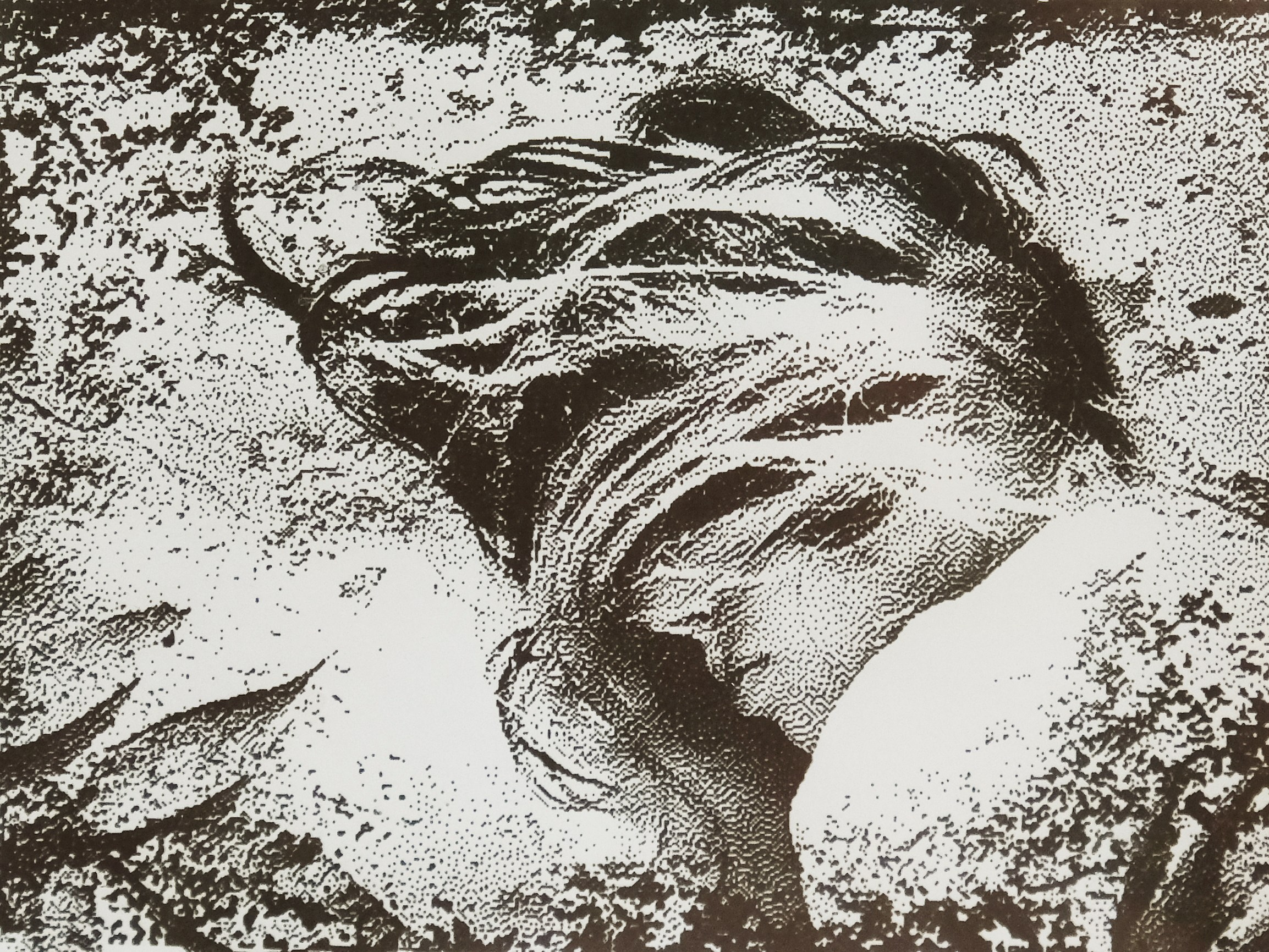 Осколки ужаса. Мария Завьялова | фотограф и преподаватель фотографии